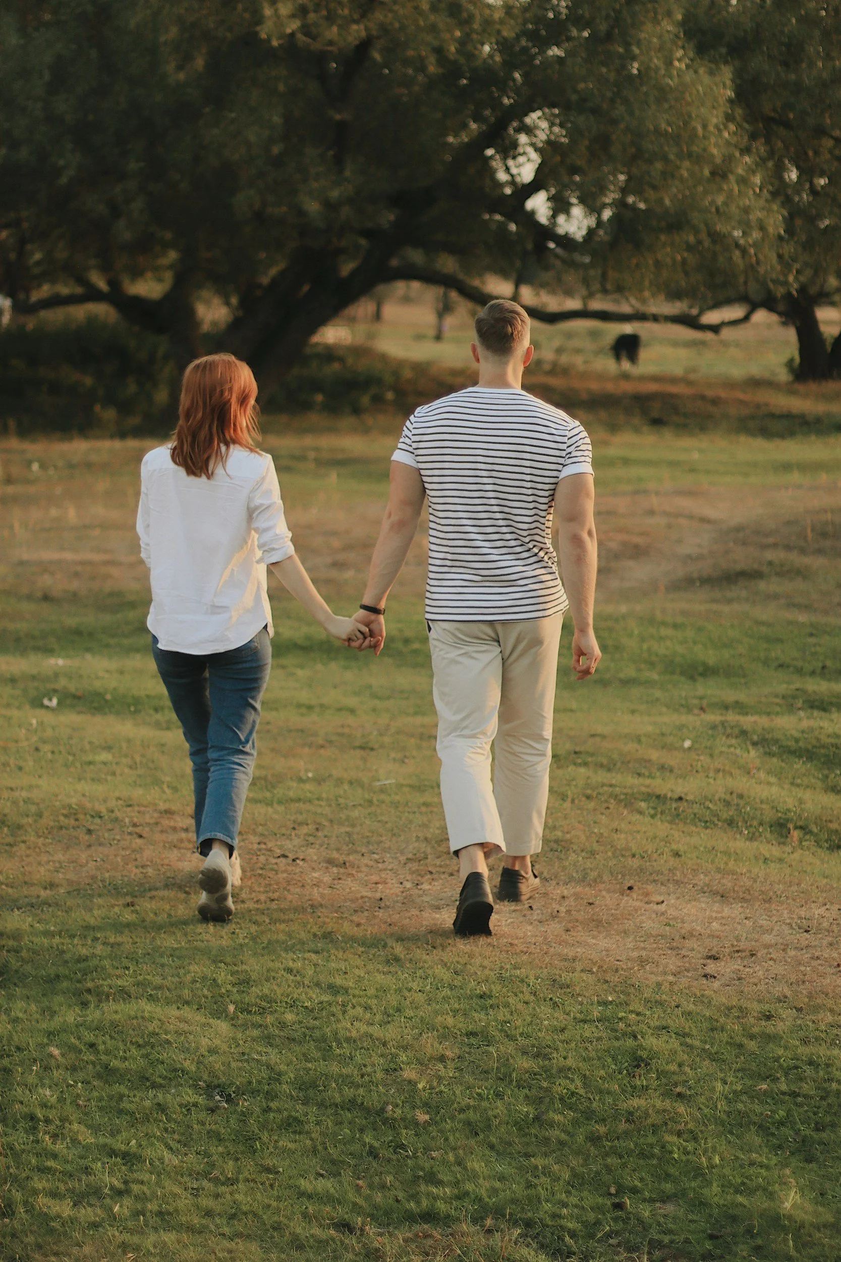 A couple holding hands walking in a grassy park with large trees and a cow in the distance.