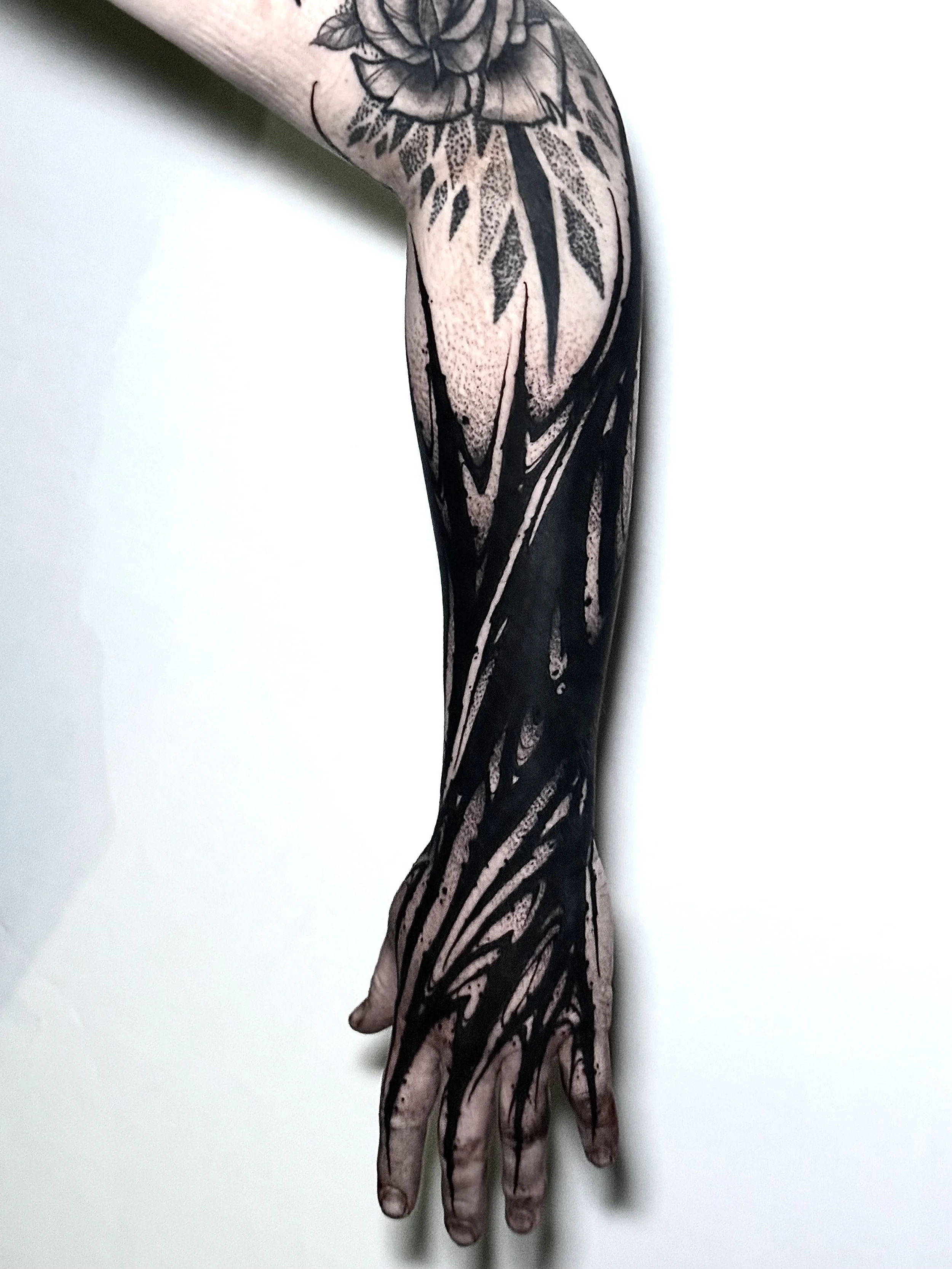 Photo Jan 26 2025, 6 33 14 PM.jpg