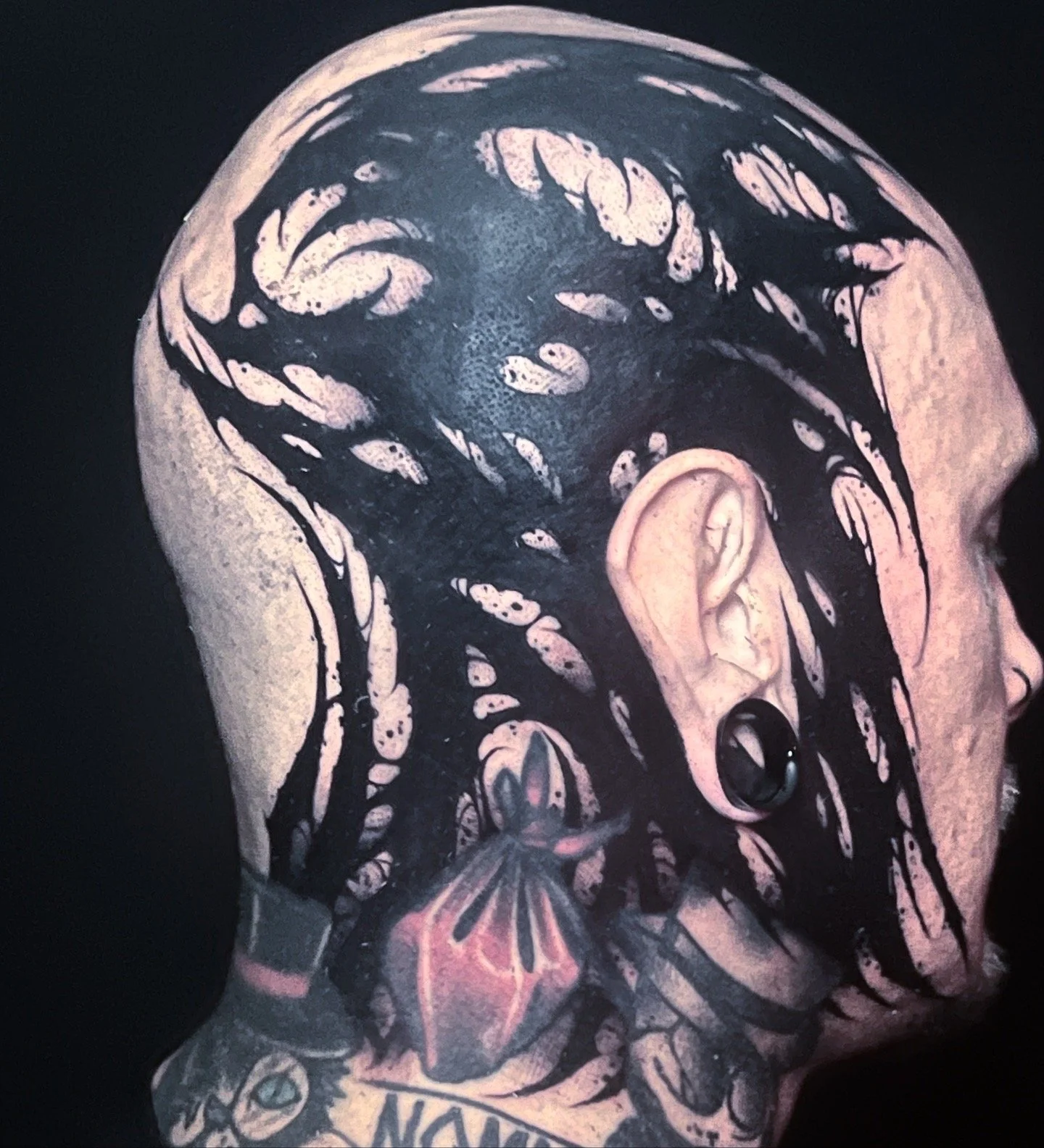 Photo Aug 29 2025, 10 49 21 AM (101).jpg