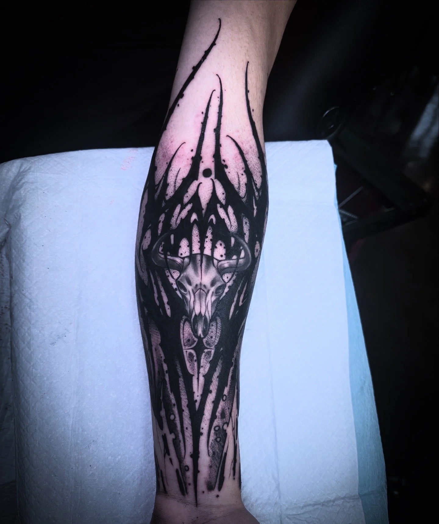 Photo Aug 29 2025, 10 49 21 AM (32).jpg