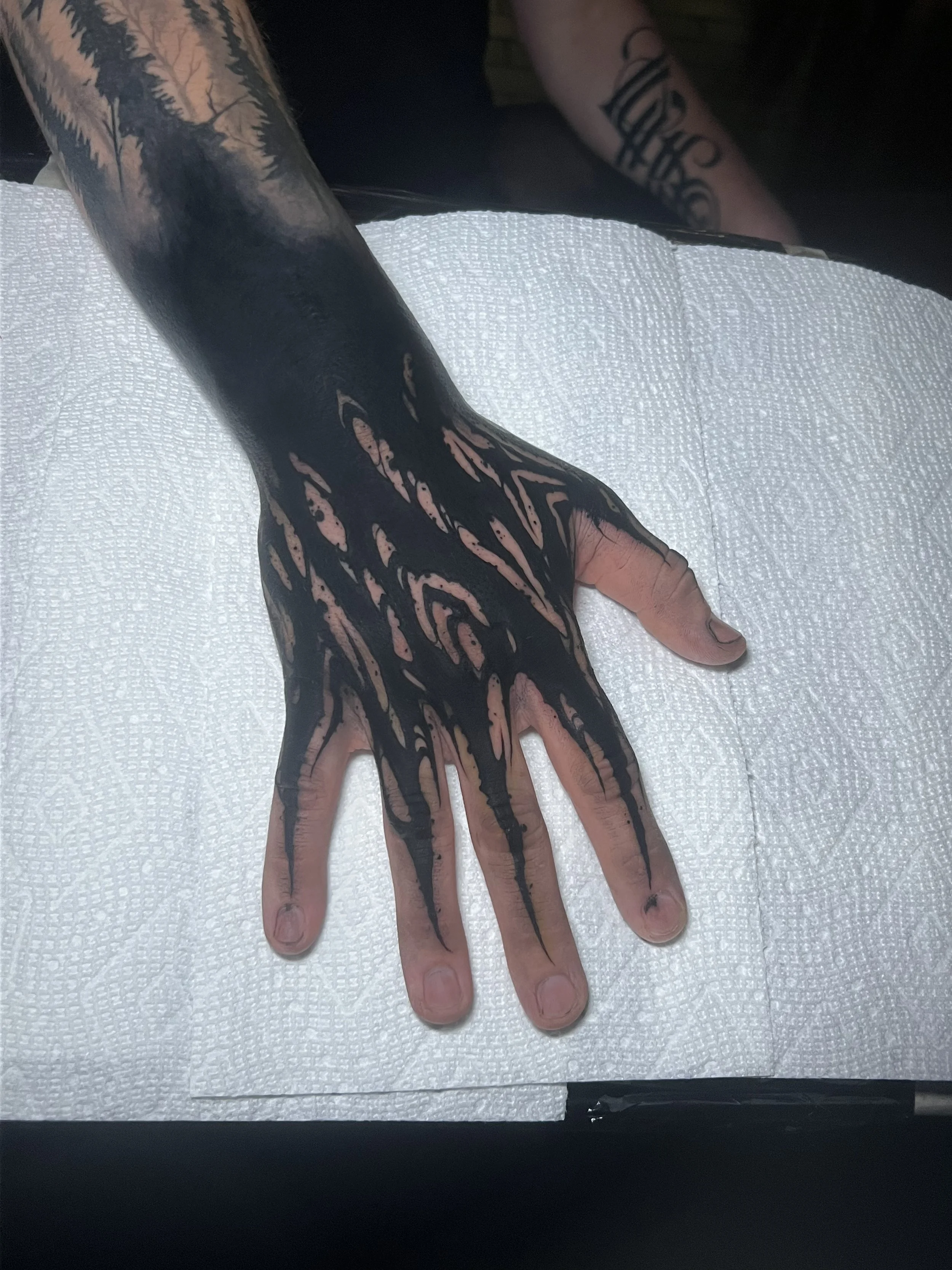 Photo Aug 22 2024, 1 48 37 PM.jpg