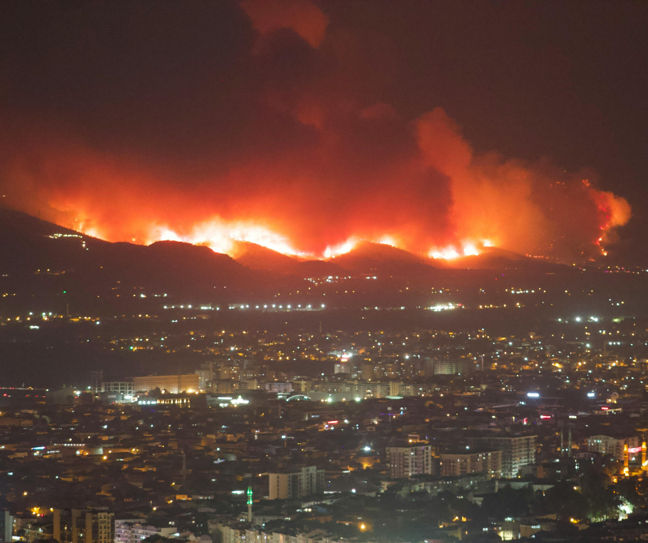 One Year After the Malibu, Pacific Palisades, and Eaton Fires