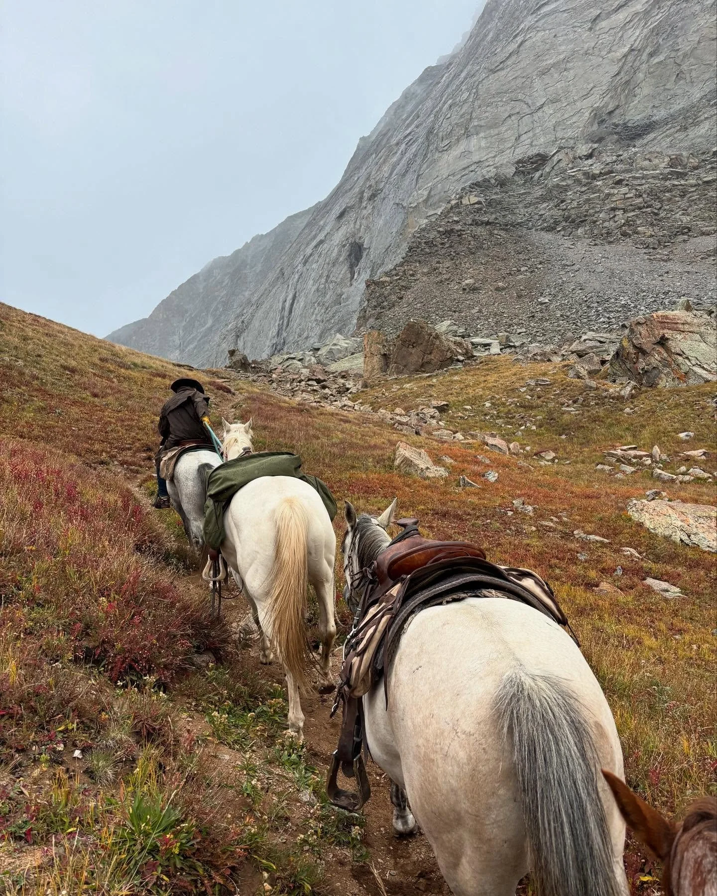 Last season, after joining @kifarucast for a fantastic discussion about hunting and conservation, we had the privilege of packing @aron_snyder, @mike_herne and @dan_colloms in and out of multiple remote basins during their mountain goat hunt. We were