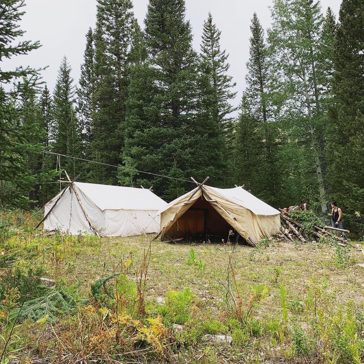 Drop Camps are set and ready for the coming season!! We are counting down the days until the opener on sept. 8. #bighornsheep #mountaingoat #rockymountains #elkseason #elkcamp #muleycrazy #muleyseason #archery #highcountry #hunting #dropcamp
