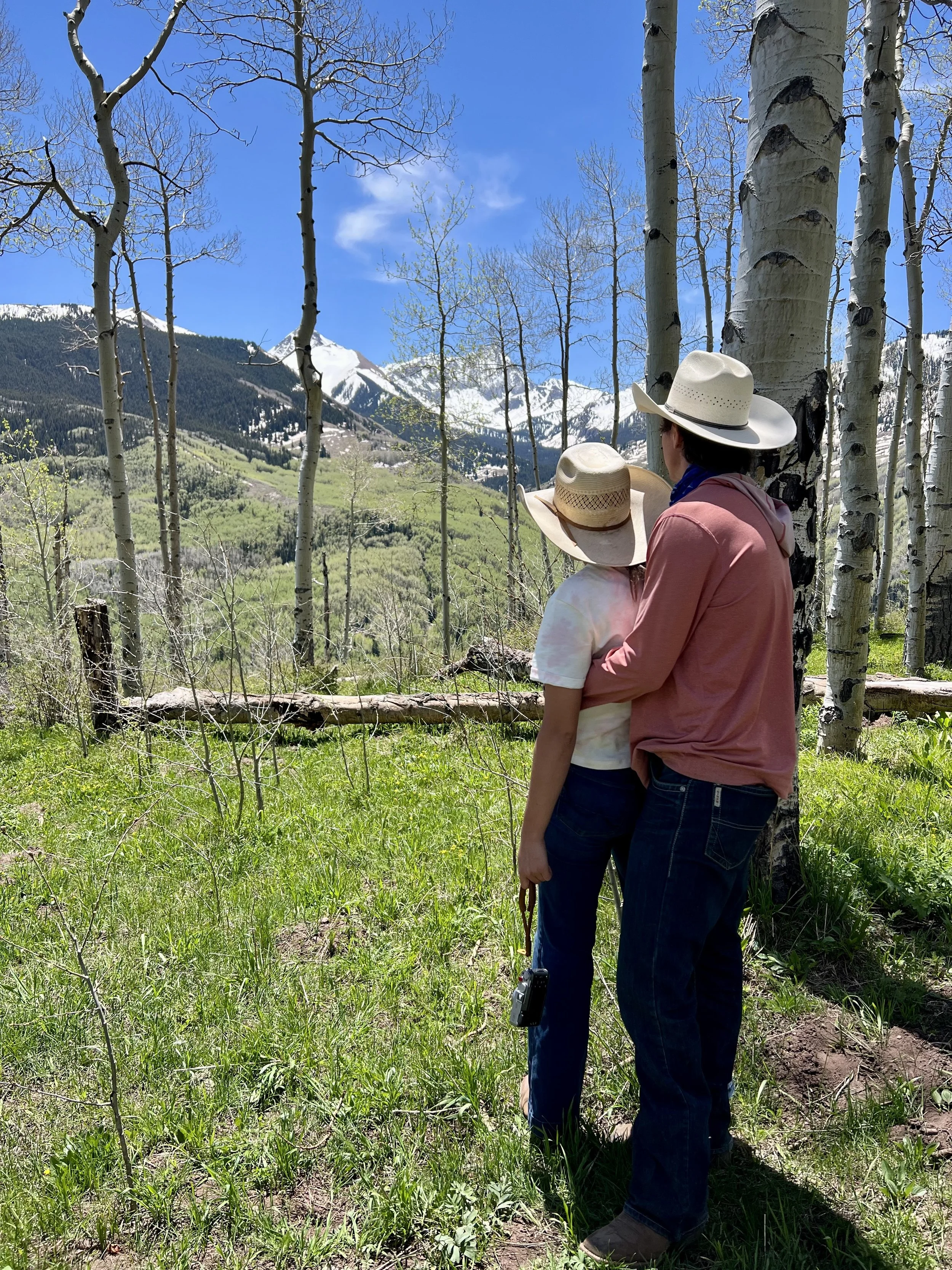 Scenic Horseback Rides in Aspen and Snowmass — Capitol Peak Outfitters