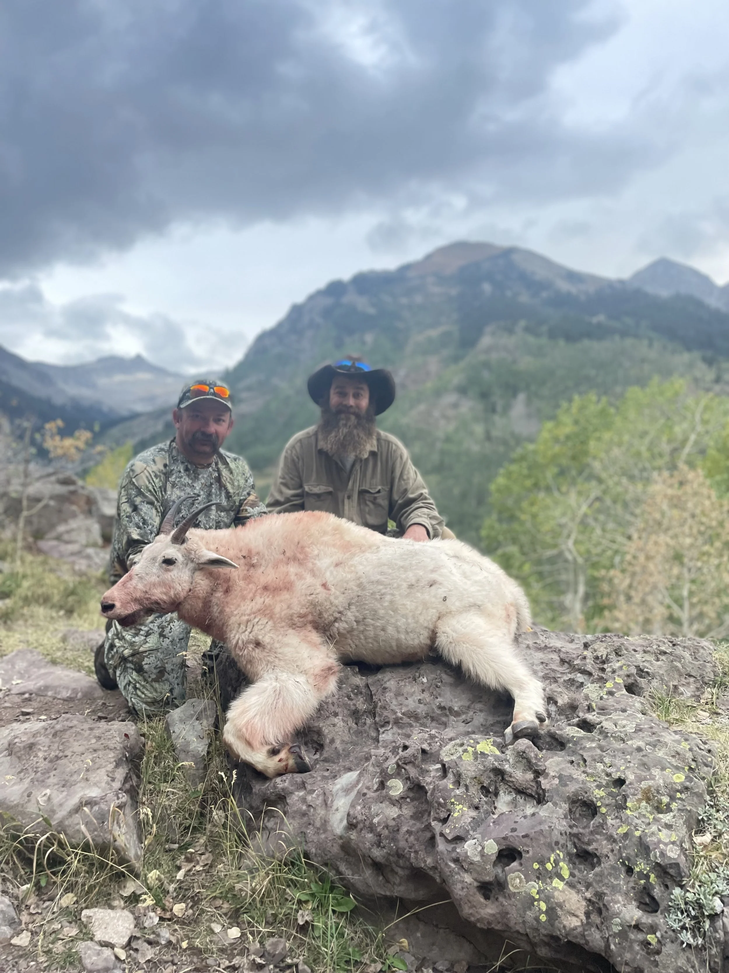 Guide and hunter with a mature mountain goat in Colorado. Unit G12, Maroon Bells-Snowmass wilderness