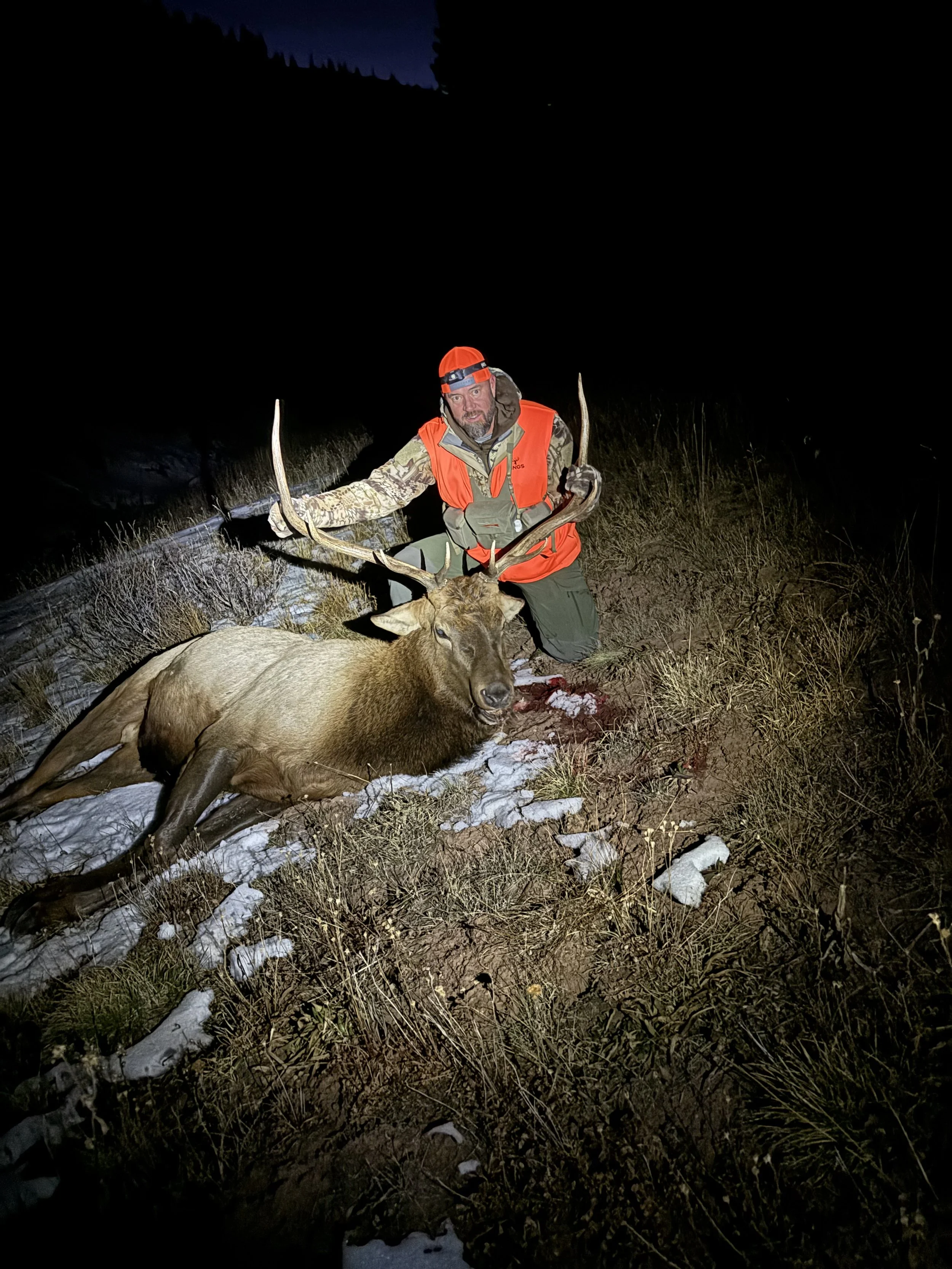 Bull elk harvested on public land in GMU 43 during a 3rd season horseback hunt
