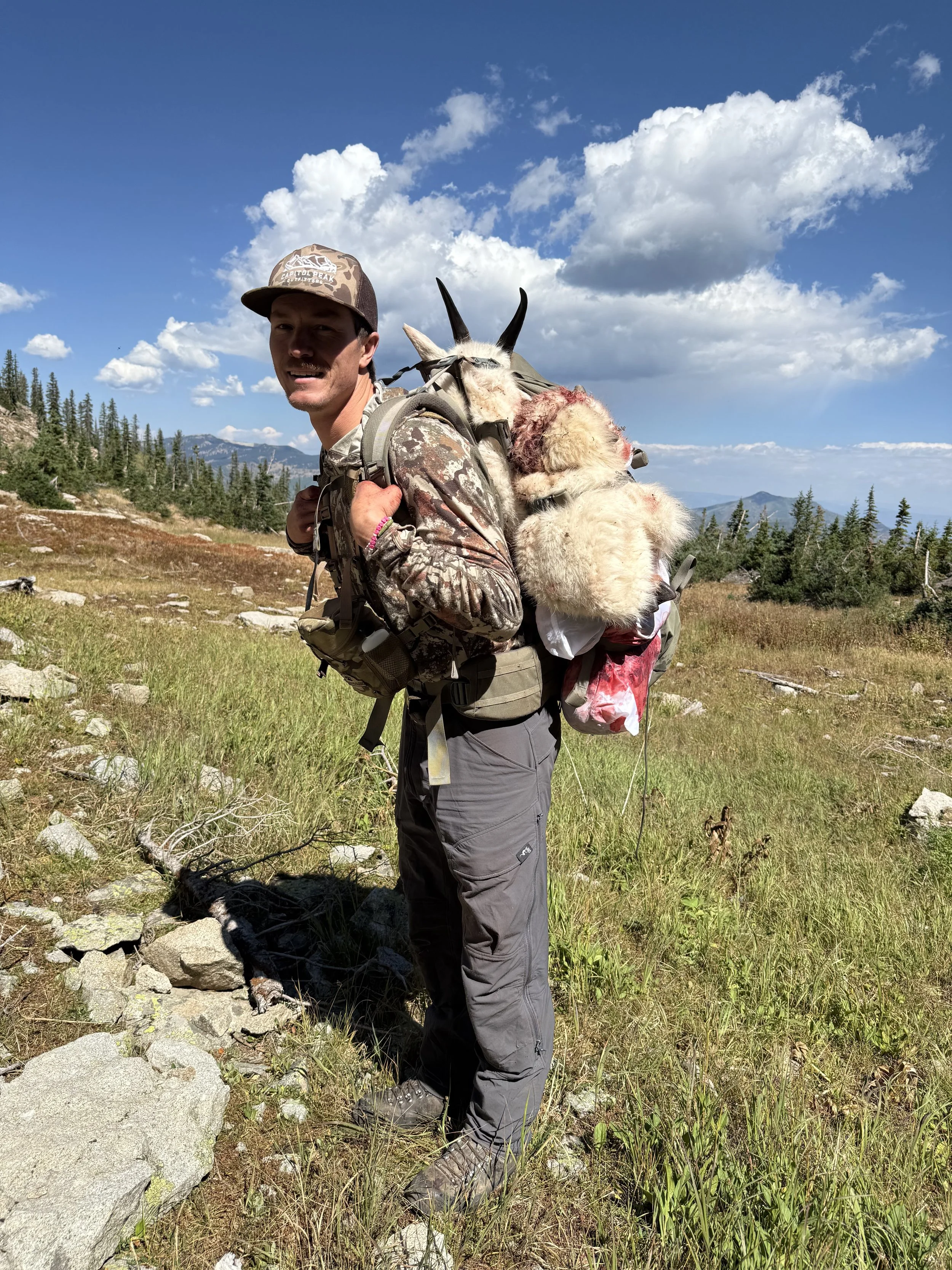 Guide Ted Benge packing out a billy mountain goat in GMU 11 Colorado