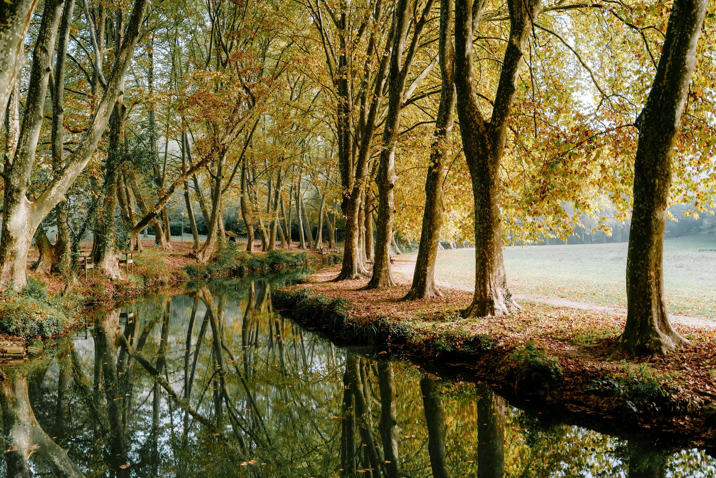 Autumn trees along a calm river with reflections of the trees in the water