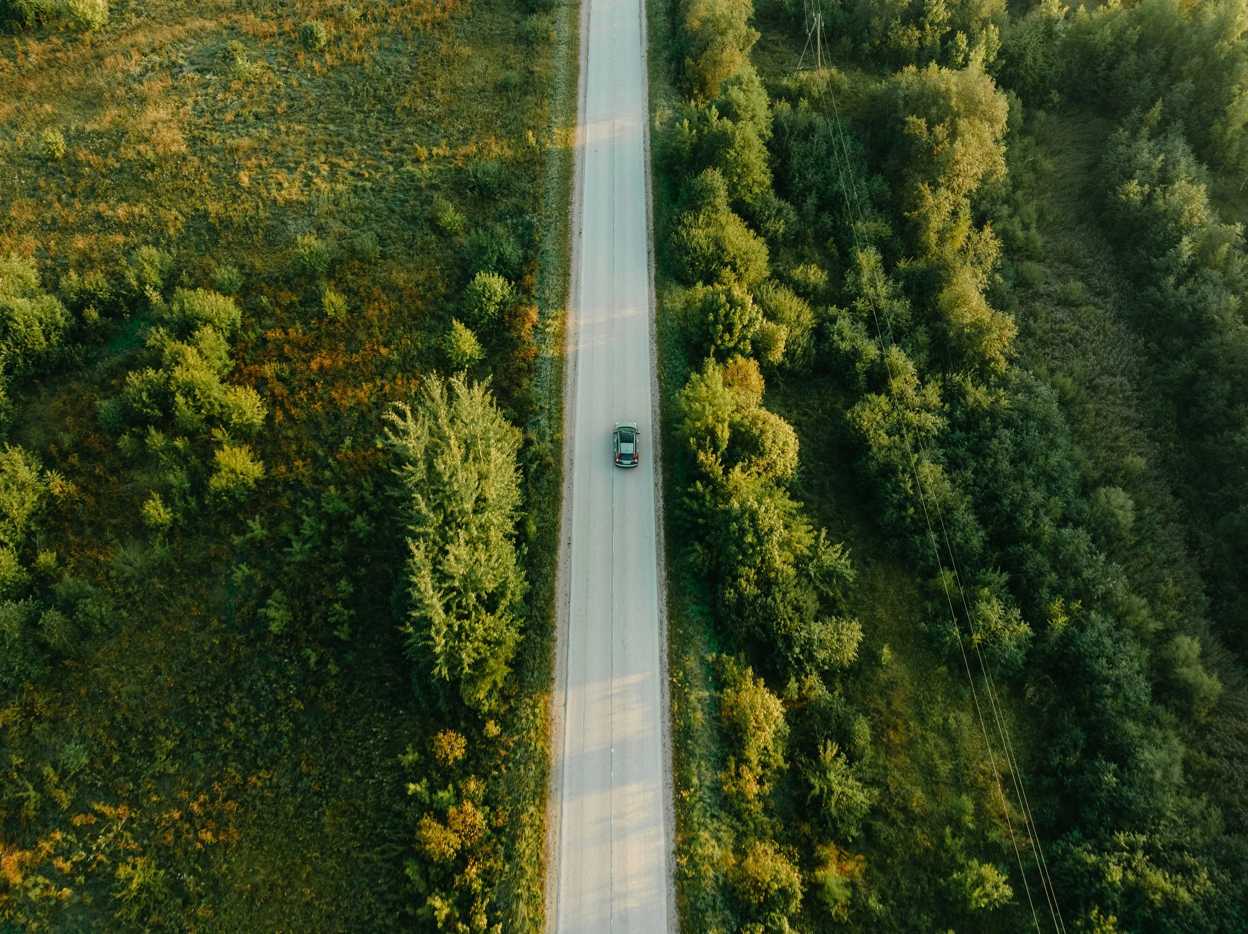 Aerial view of care driving down road, trees on eithe side