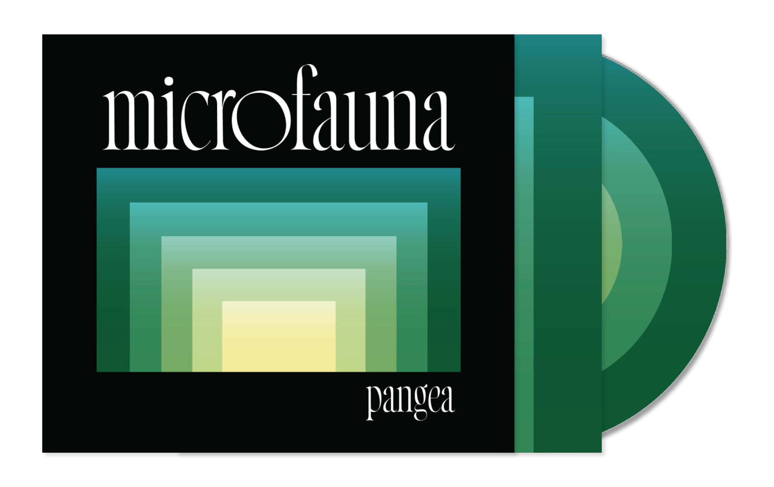 Physical Media