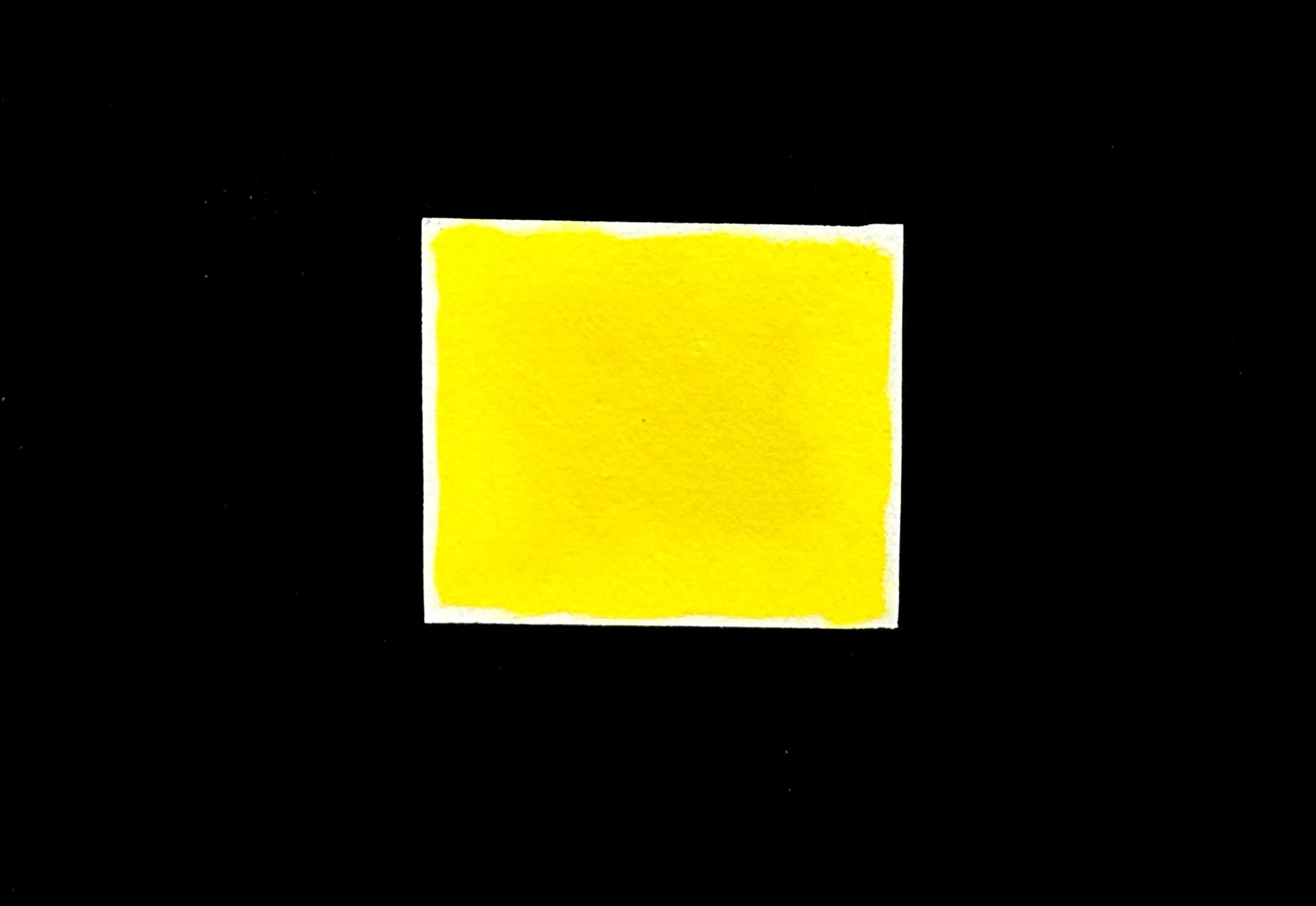 IMG_4100.jpeg