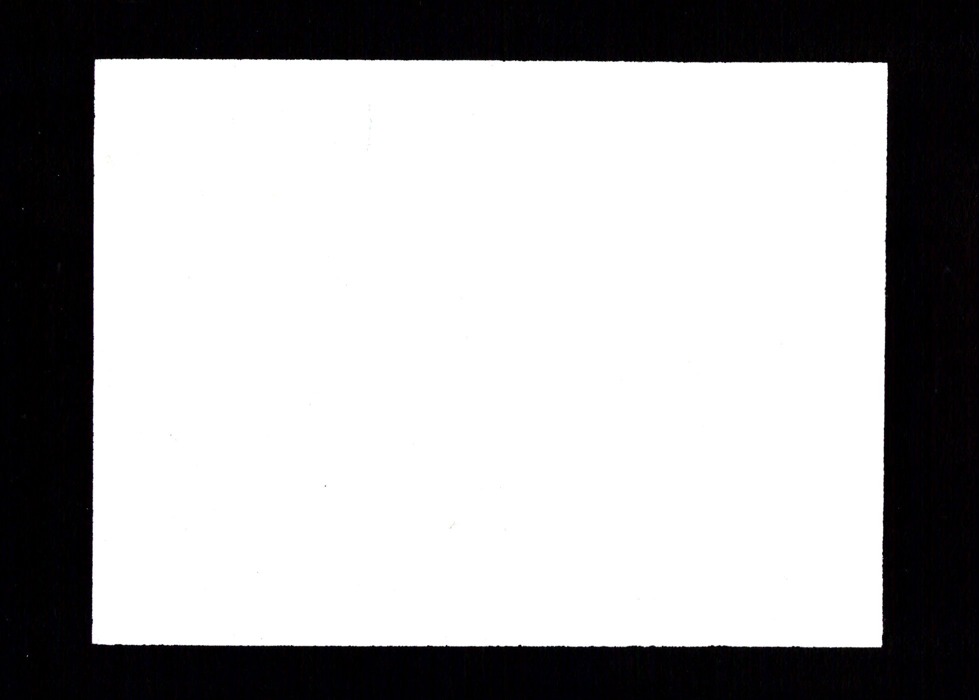 Scan 393.jpeg