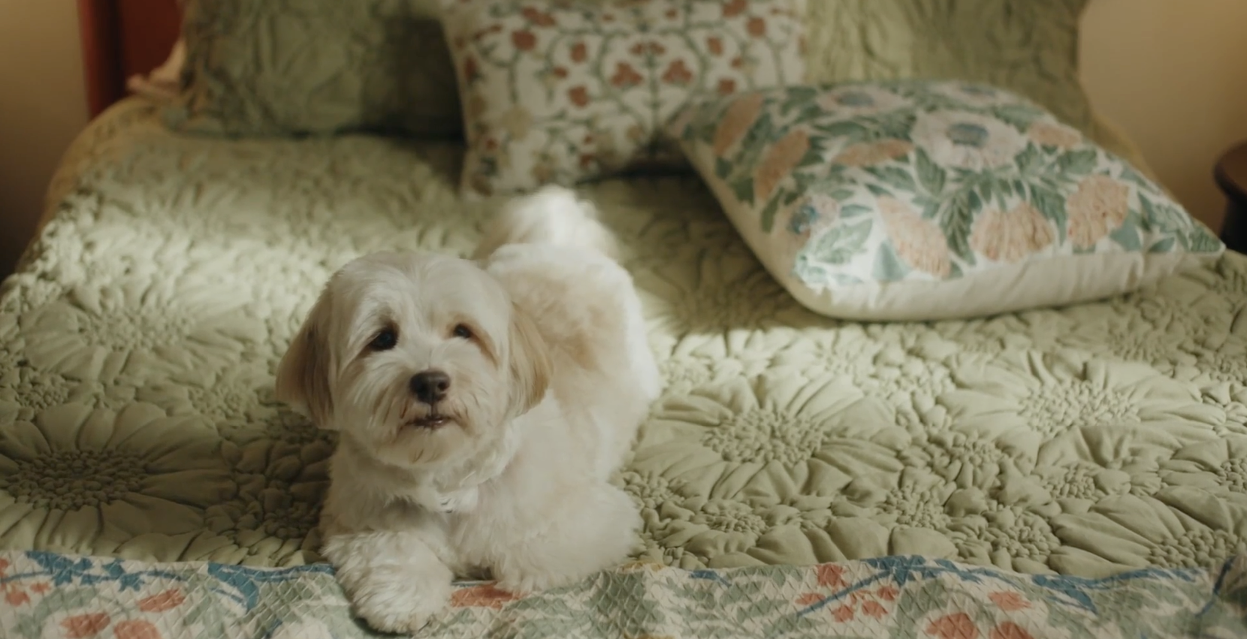 Screenshot 2026-01-22 at 17.03.38.png