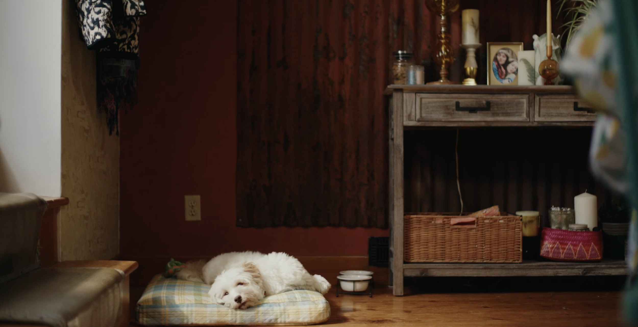 Screenshot 2026-01-22 at 17.01.08.png