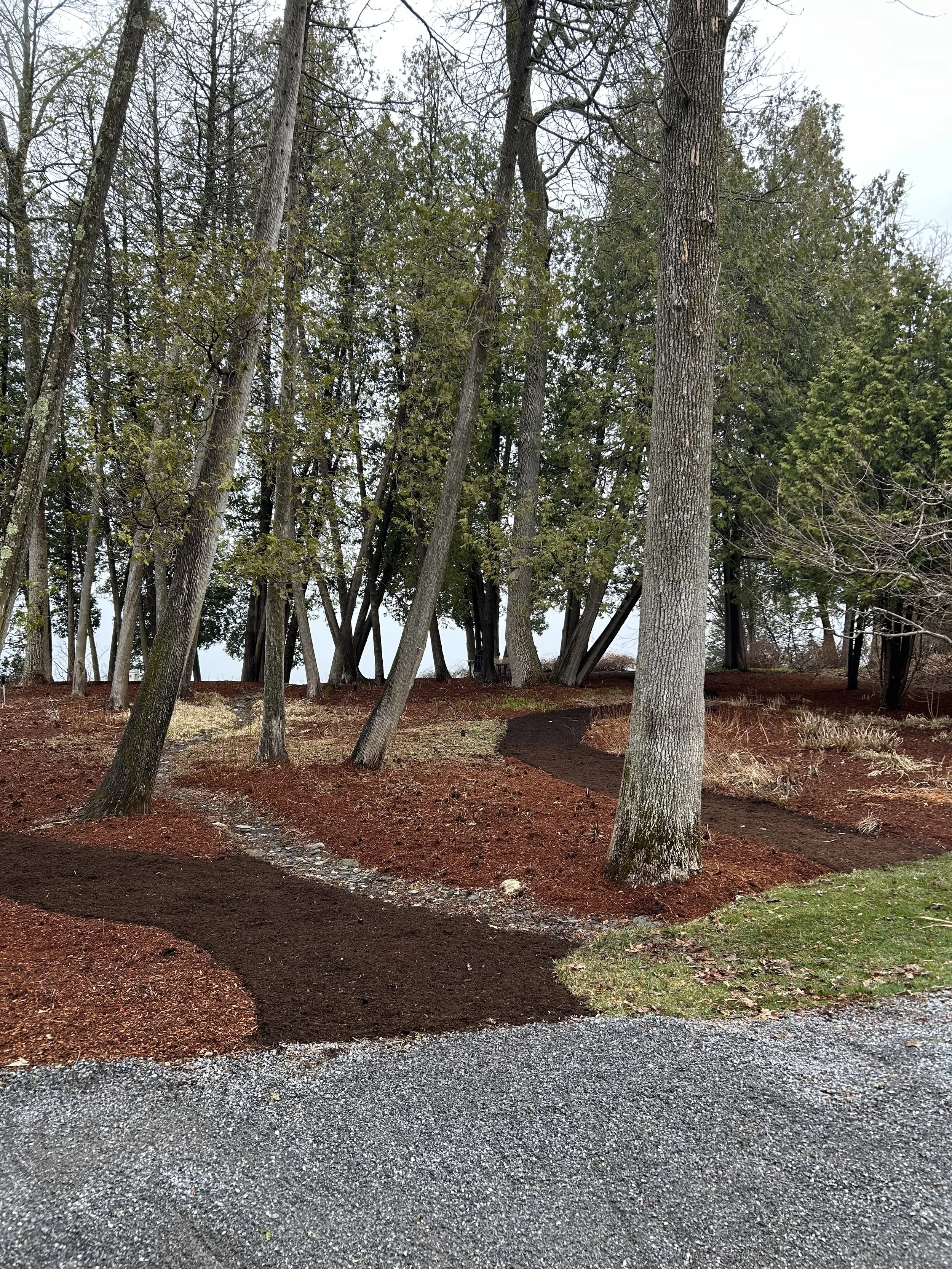 Ordway spring cleanup - sprucefir path.jpeg