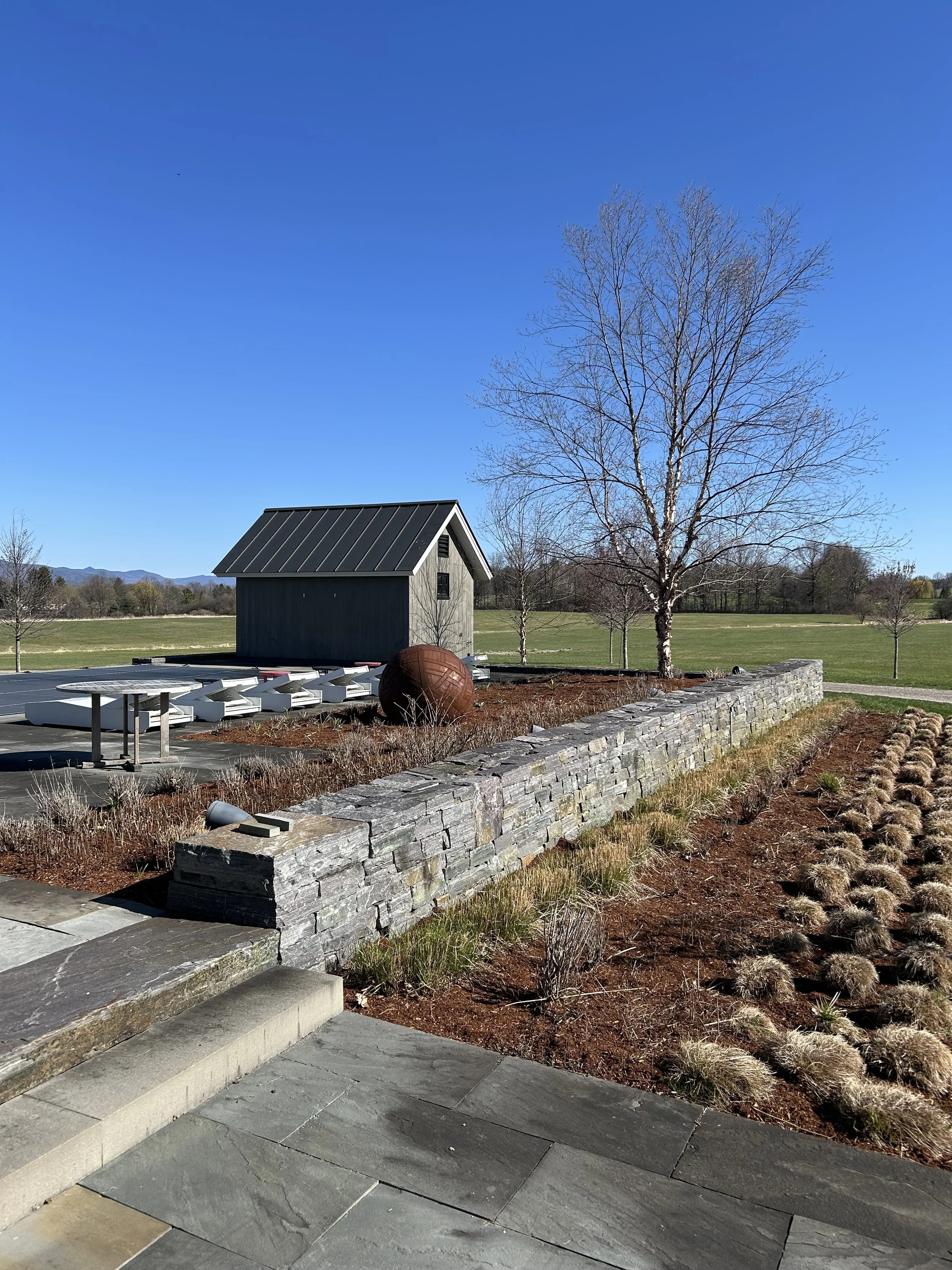 Moxy Hill spring cleanup - near pool.jpeg