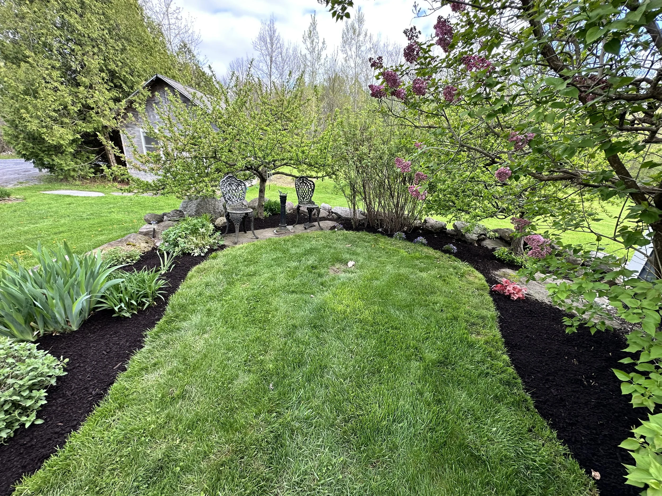 Spring clean-up @ Patrice Demarco .jpg