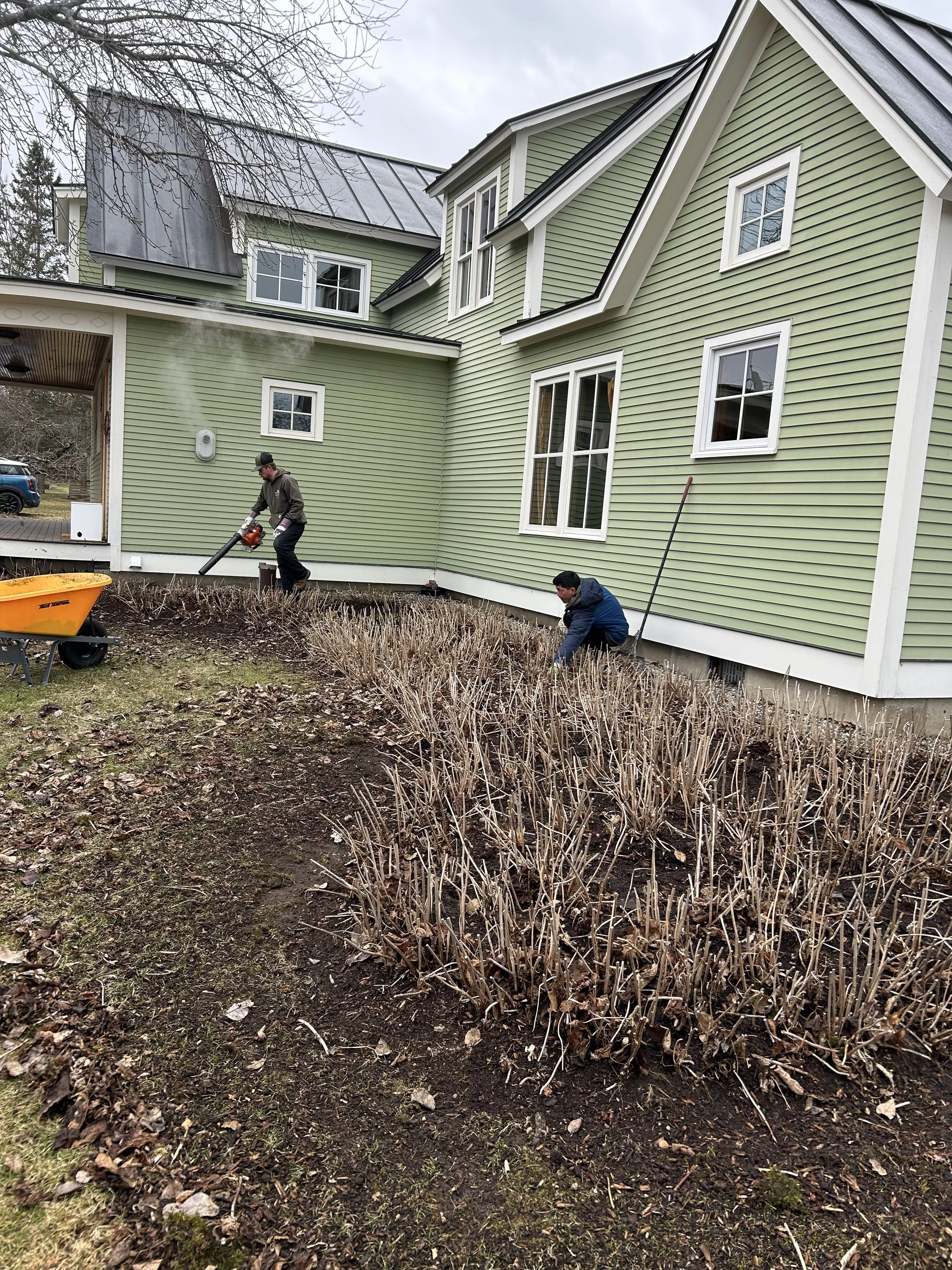 Juliet McVicker Spring clean-up 2025.jpeg
