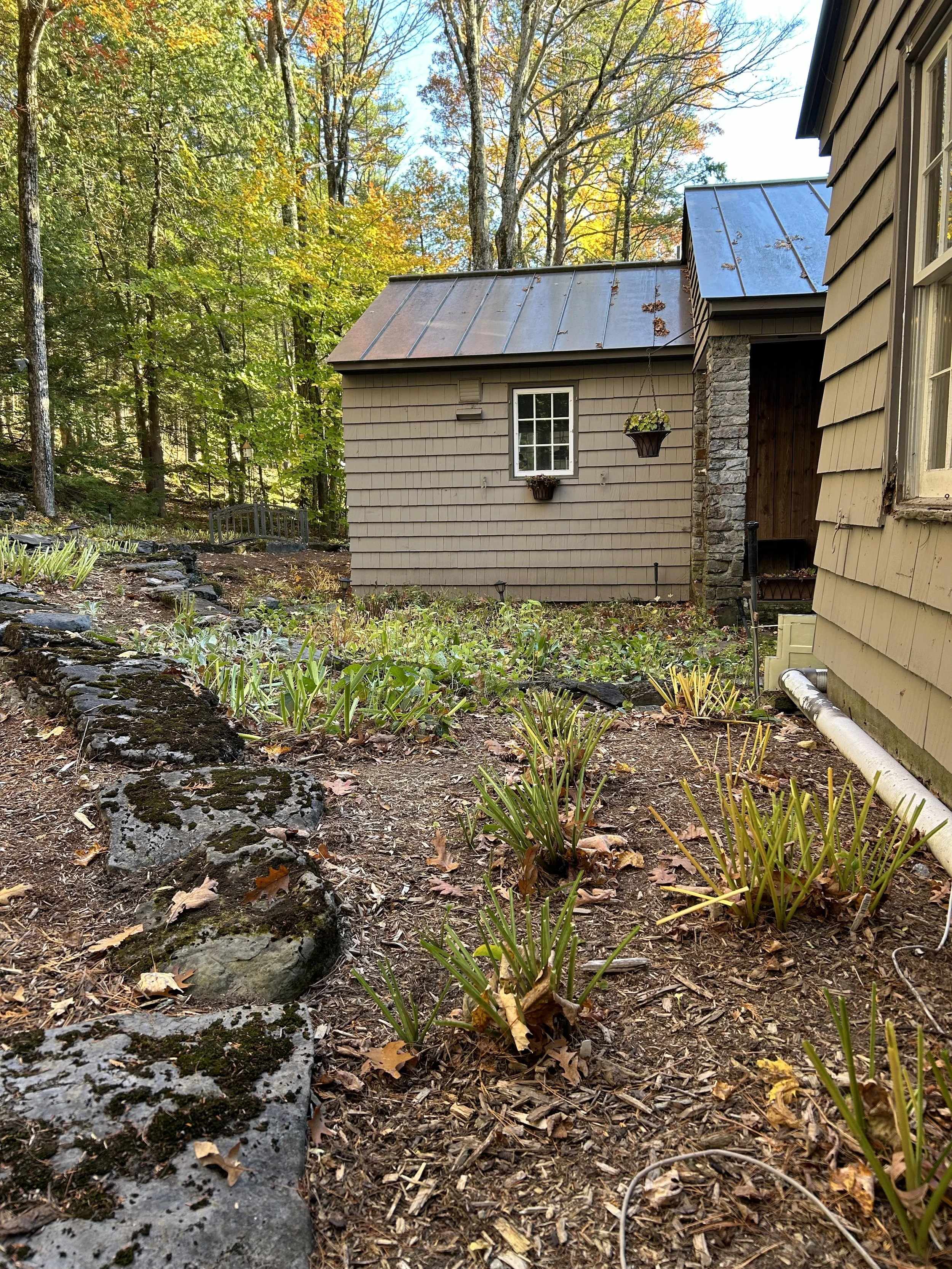 Fall cleanup at Dan Flanagans neighbor.jpeg