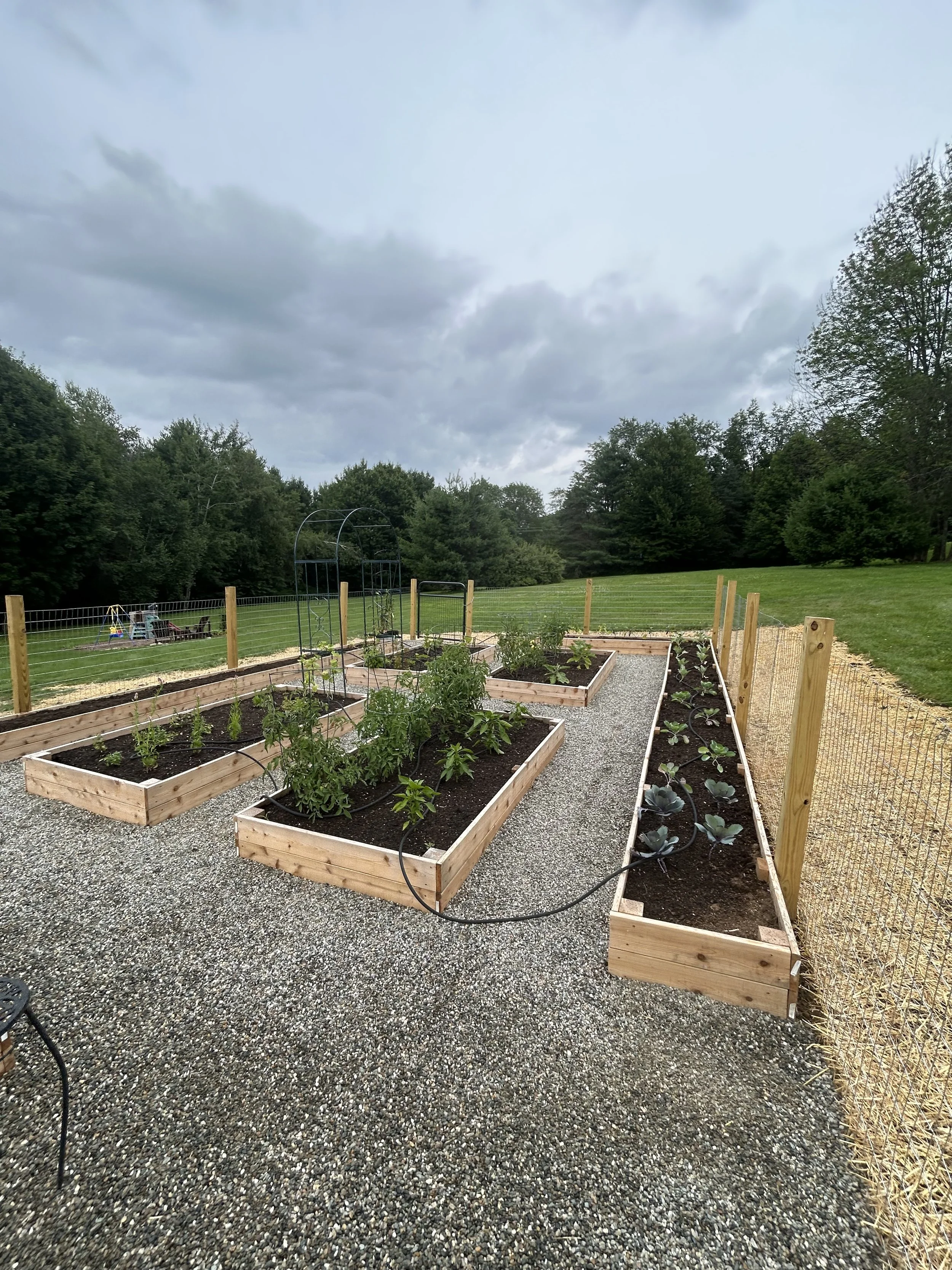 Four 4x10 cedar raised beds with 2ft wide perimeter cedar raised beds. Pea stone path and a 4 foot high fence around the whole thing to keep the animals out!