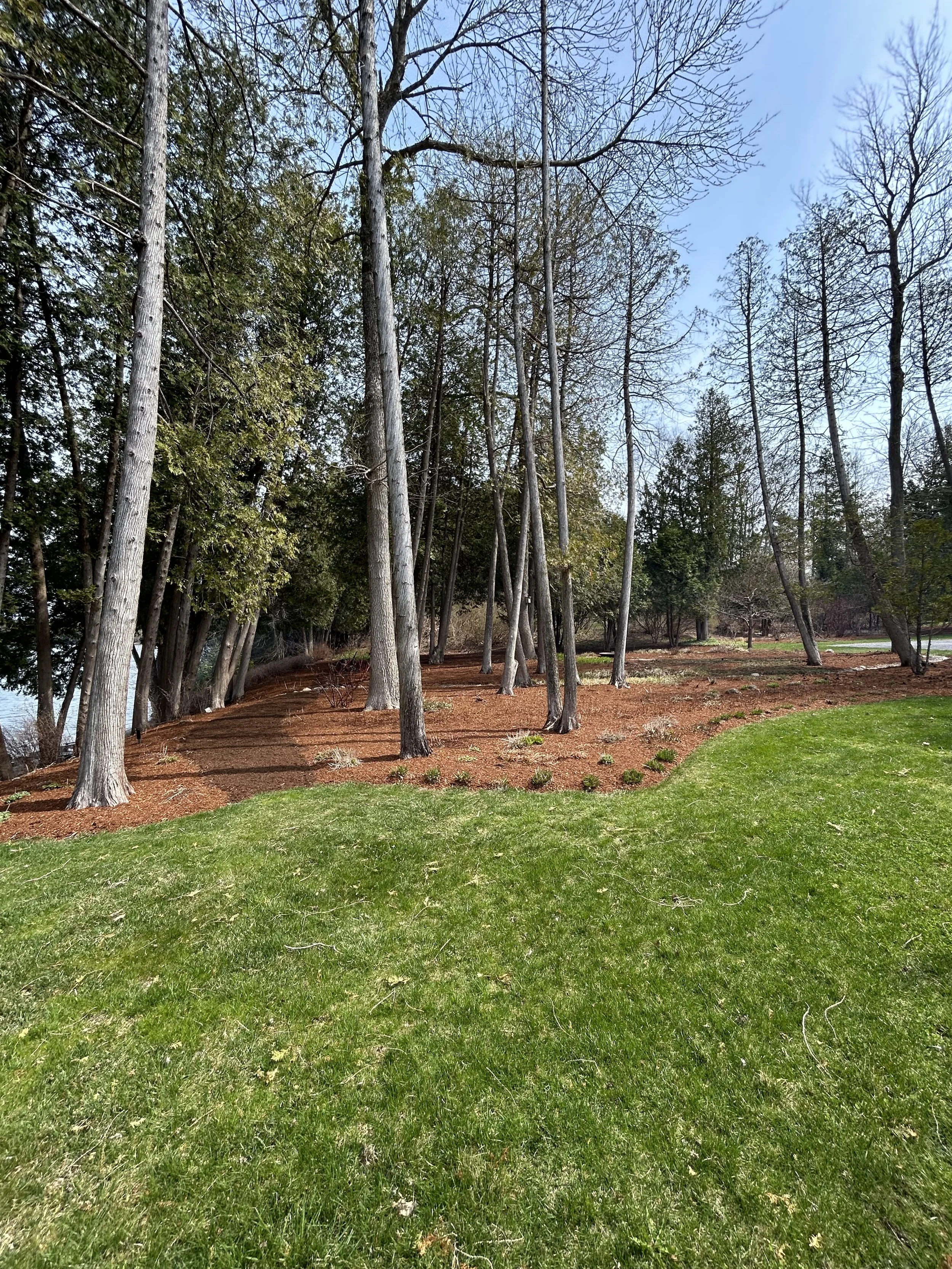 Ordway Spring Clean-up photo.jpg