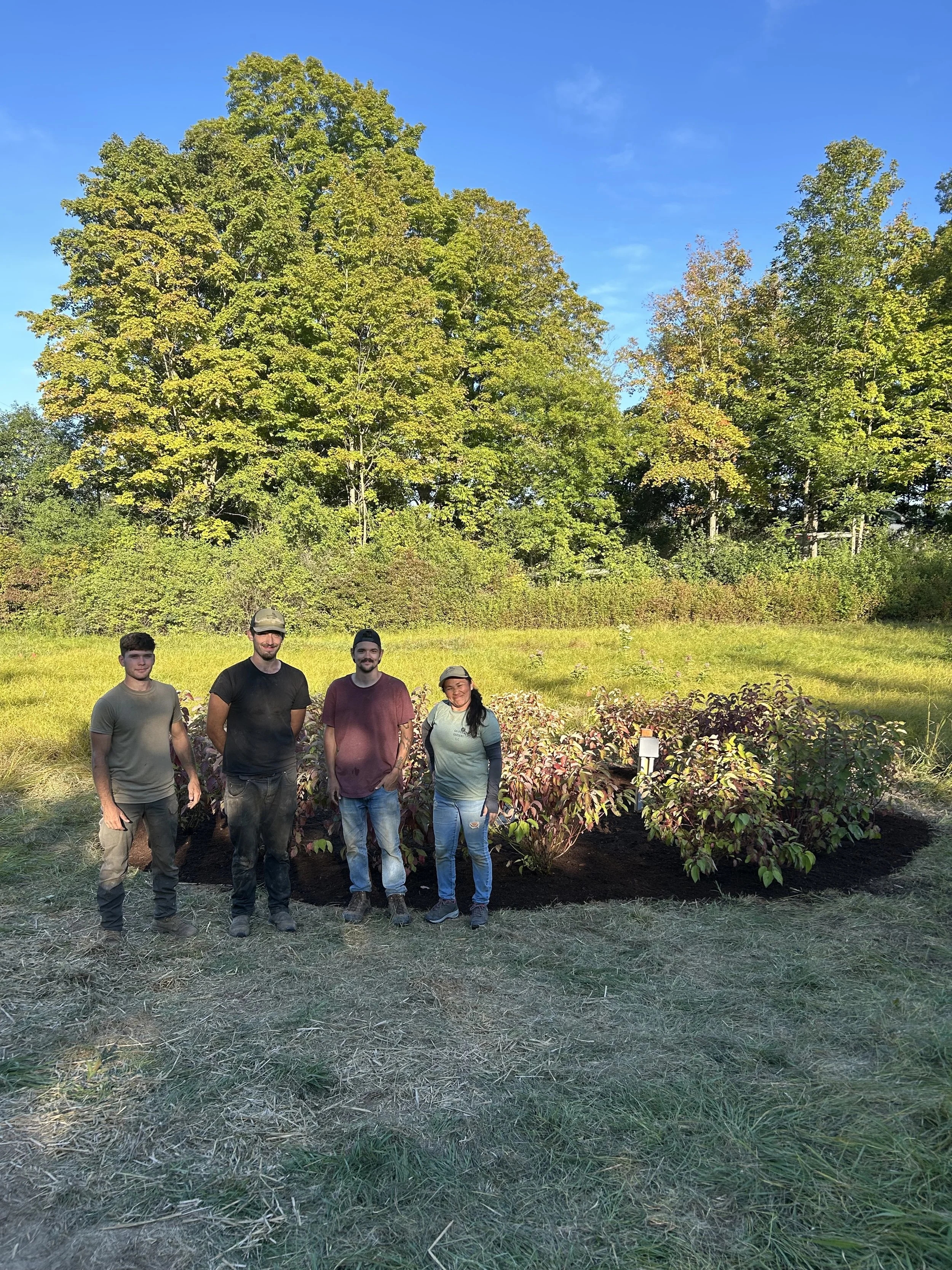 Dogwood install @ Liz Robinson .jpg