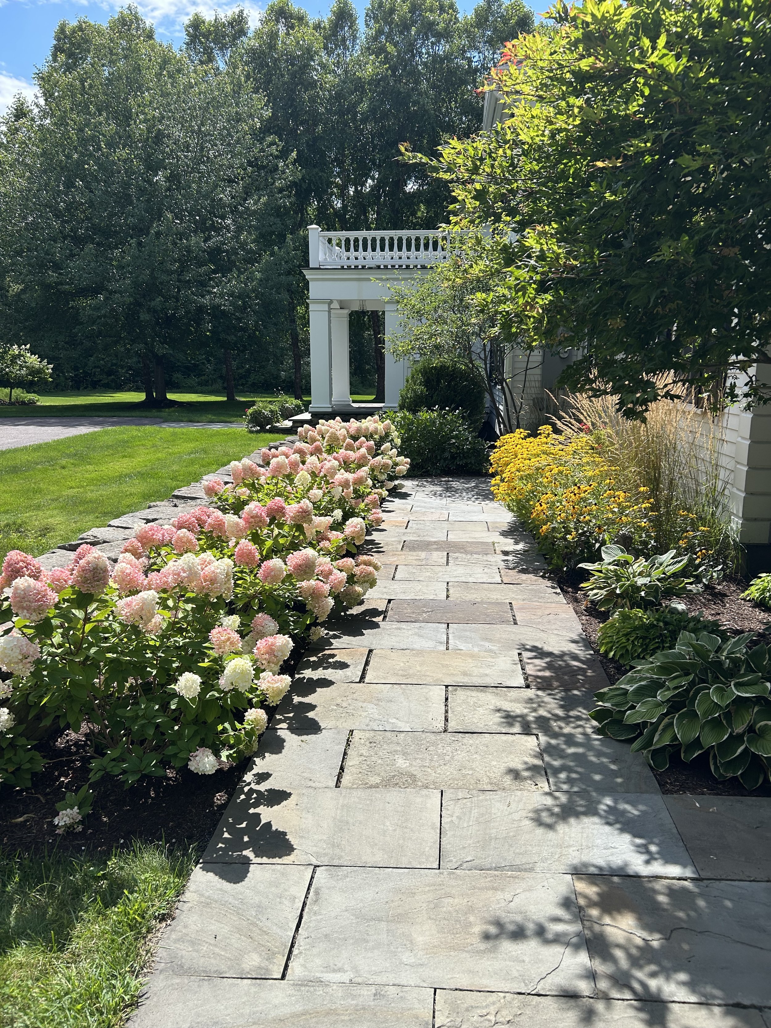We planted the hydranges and some of the rudbeckia on the other side. We also transplanted the hosta. 