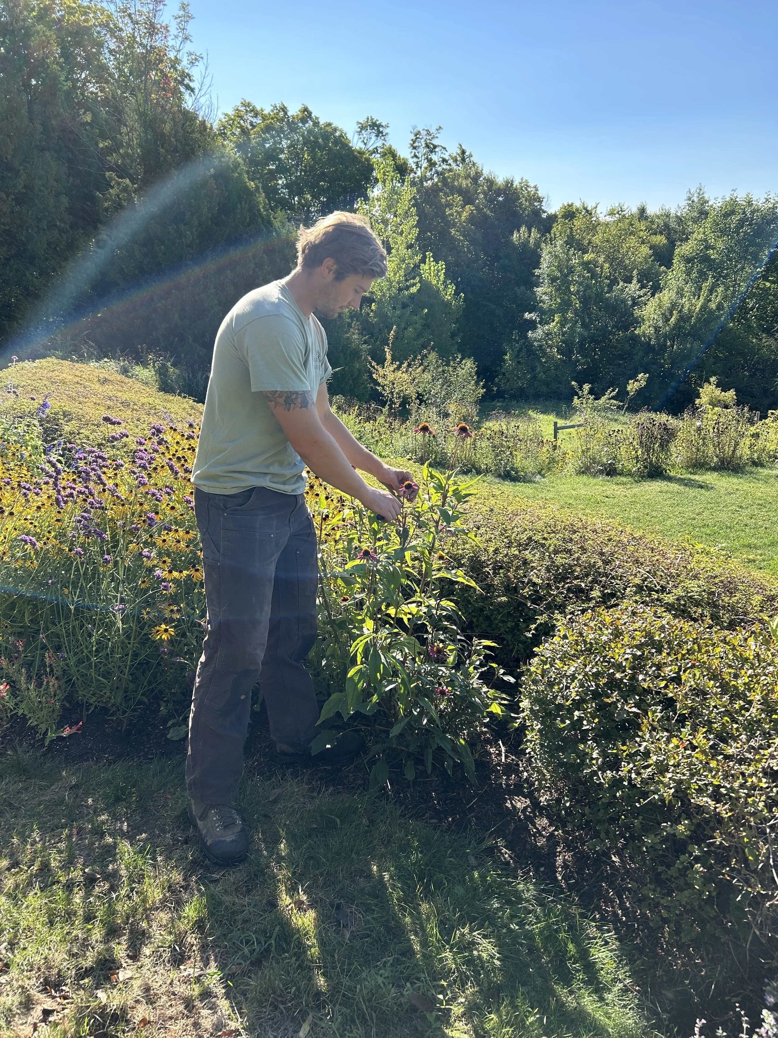 Wyatt deadheading at Charlotte Addisons's 2025.jpeg