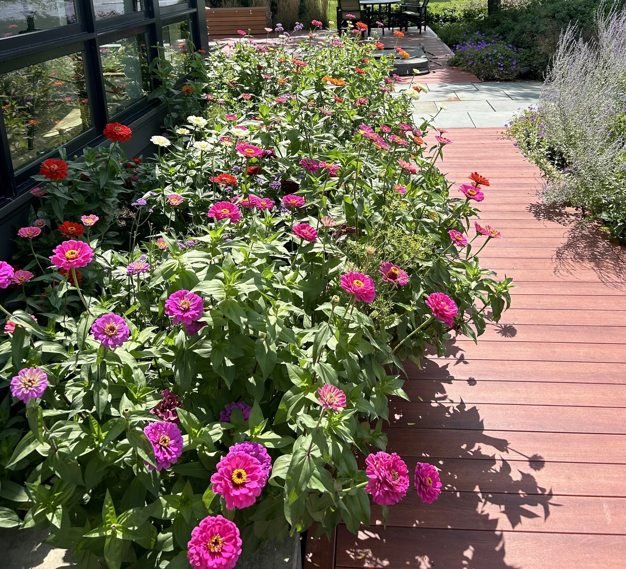 Annual planting