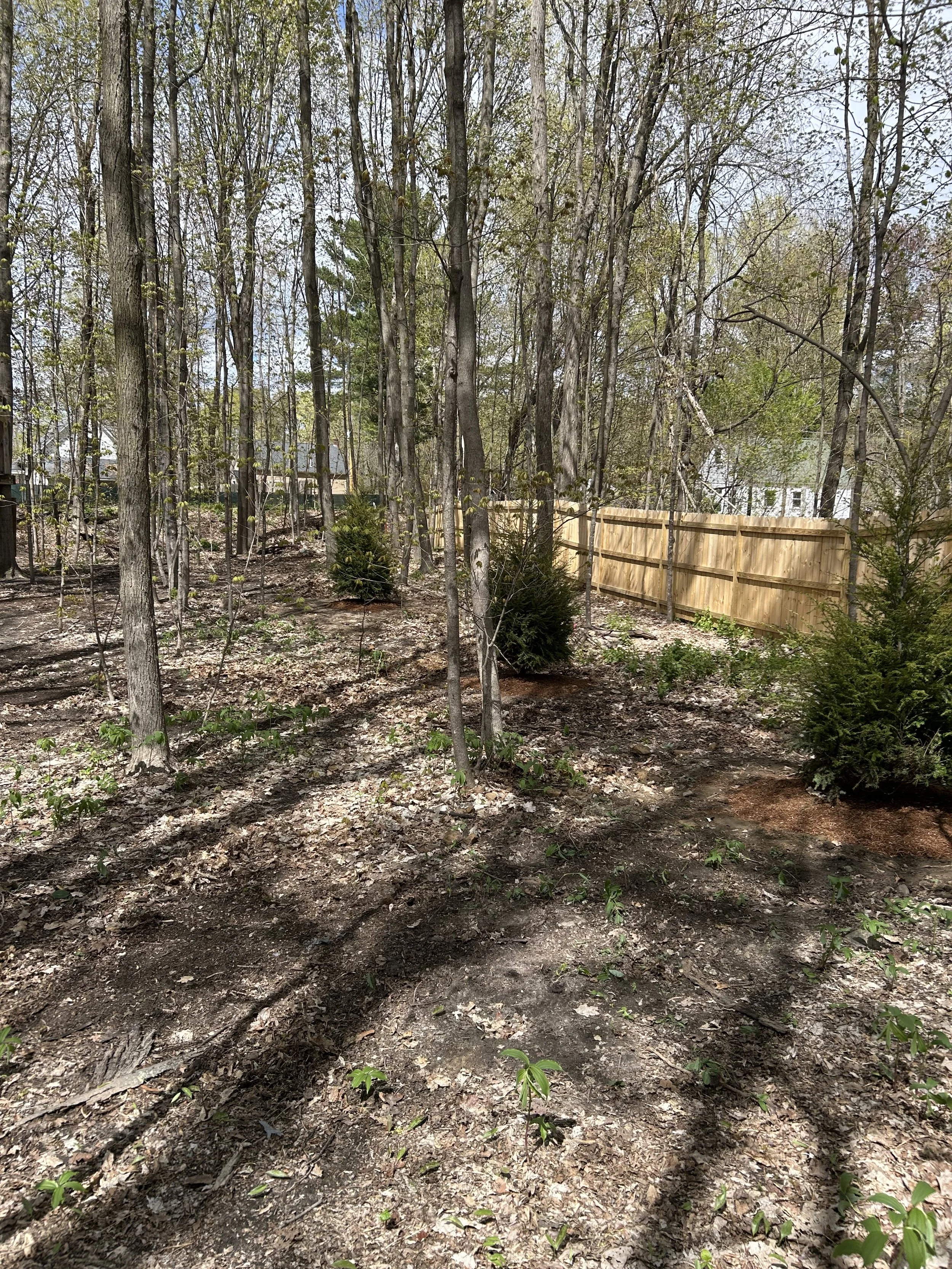 Bartlett tree planting.jpeg