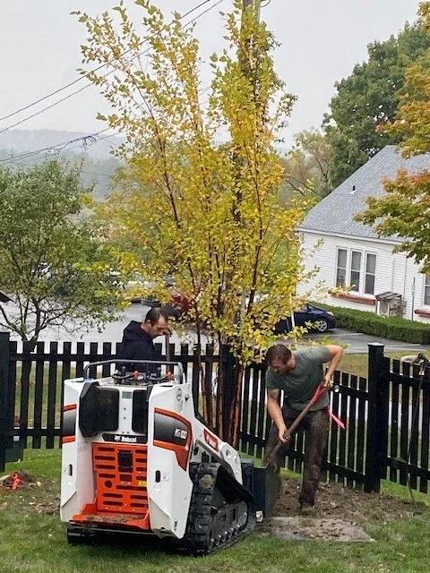 Birch install @ Grandpas neighbors.JPG