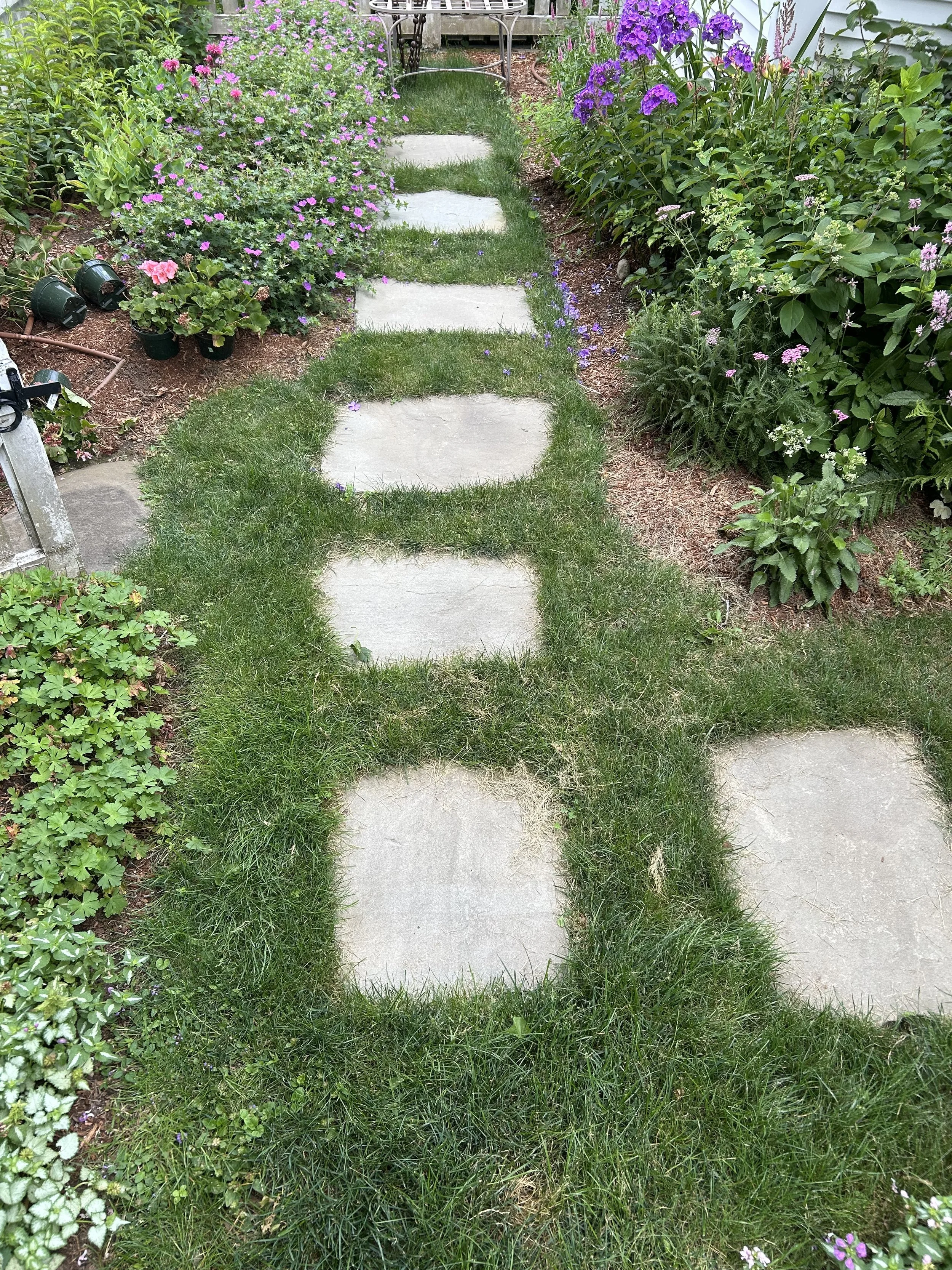 Stepping stone install plus re-seeding around the stone