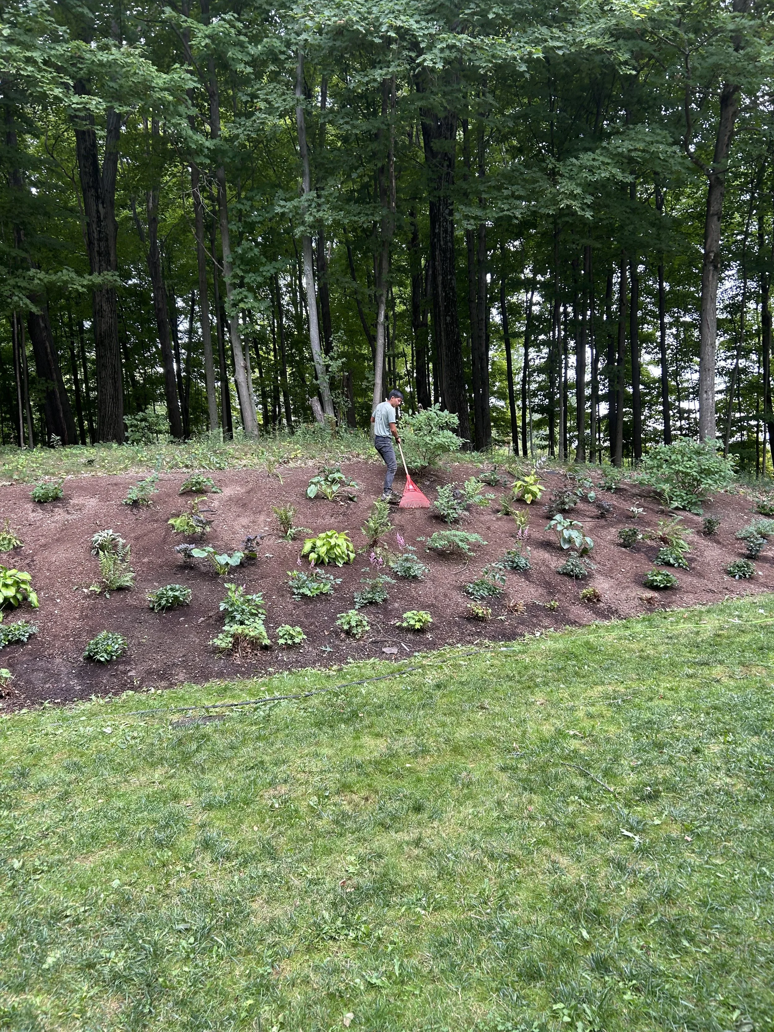 This is a shade garden. The plantings were all small in this photo. I will post an updated photo soon!