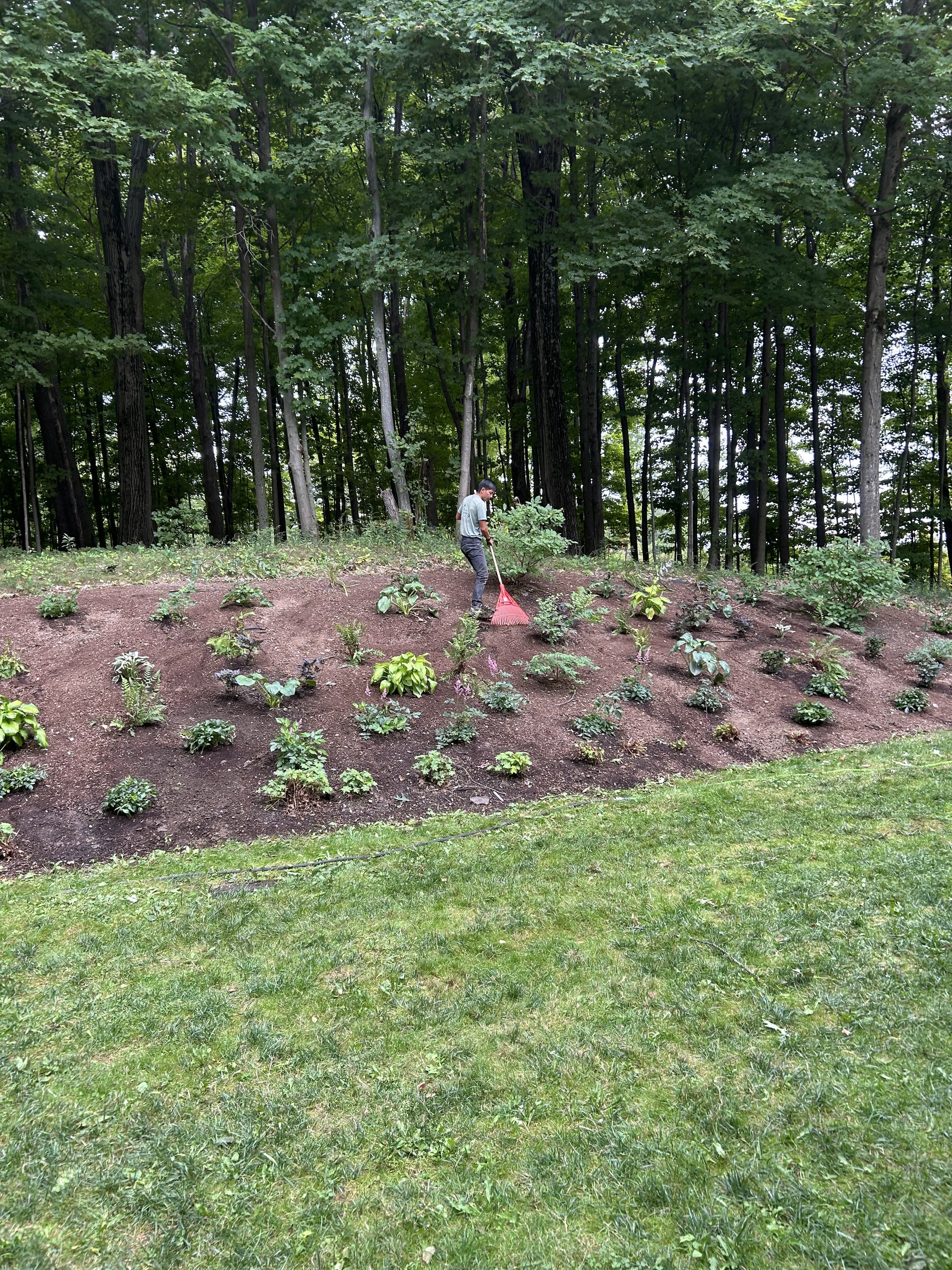 Hillside shade garden plant install @ Hillary boardmann.jpg
