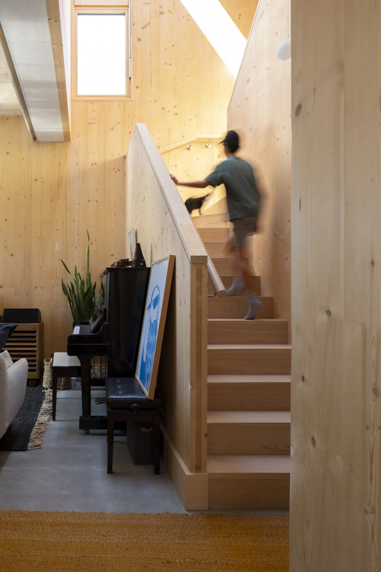 CLT staircase and timber interior