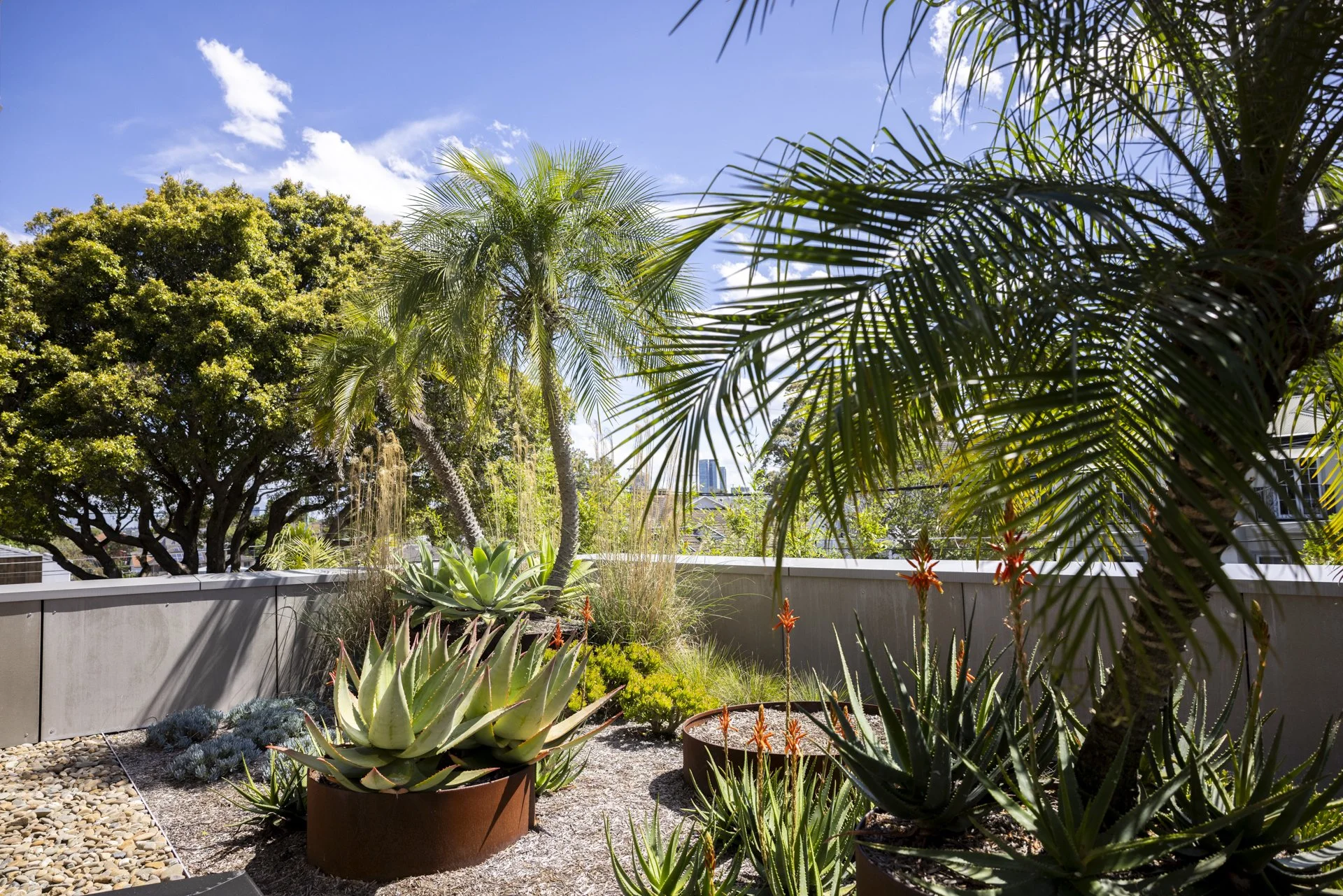 Roof terrace dry garden