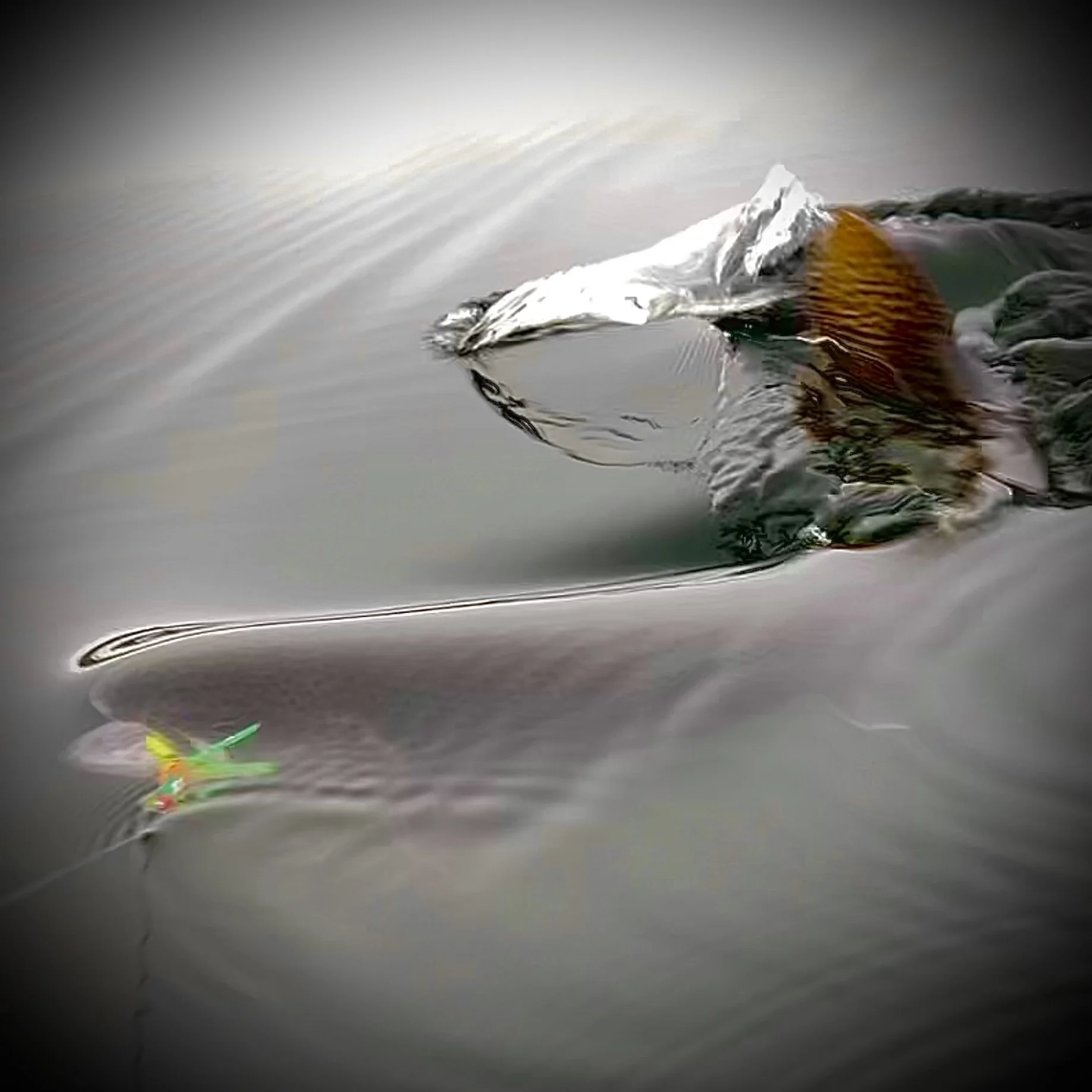 IMG_9017.jpeg