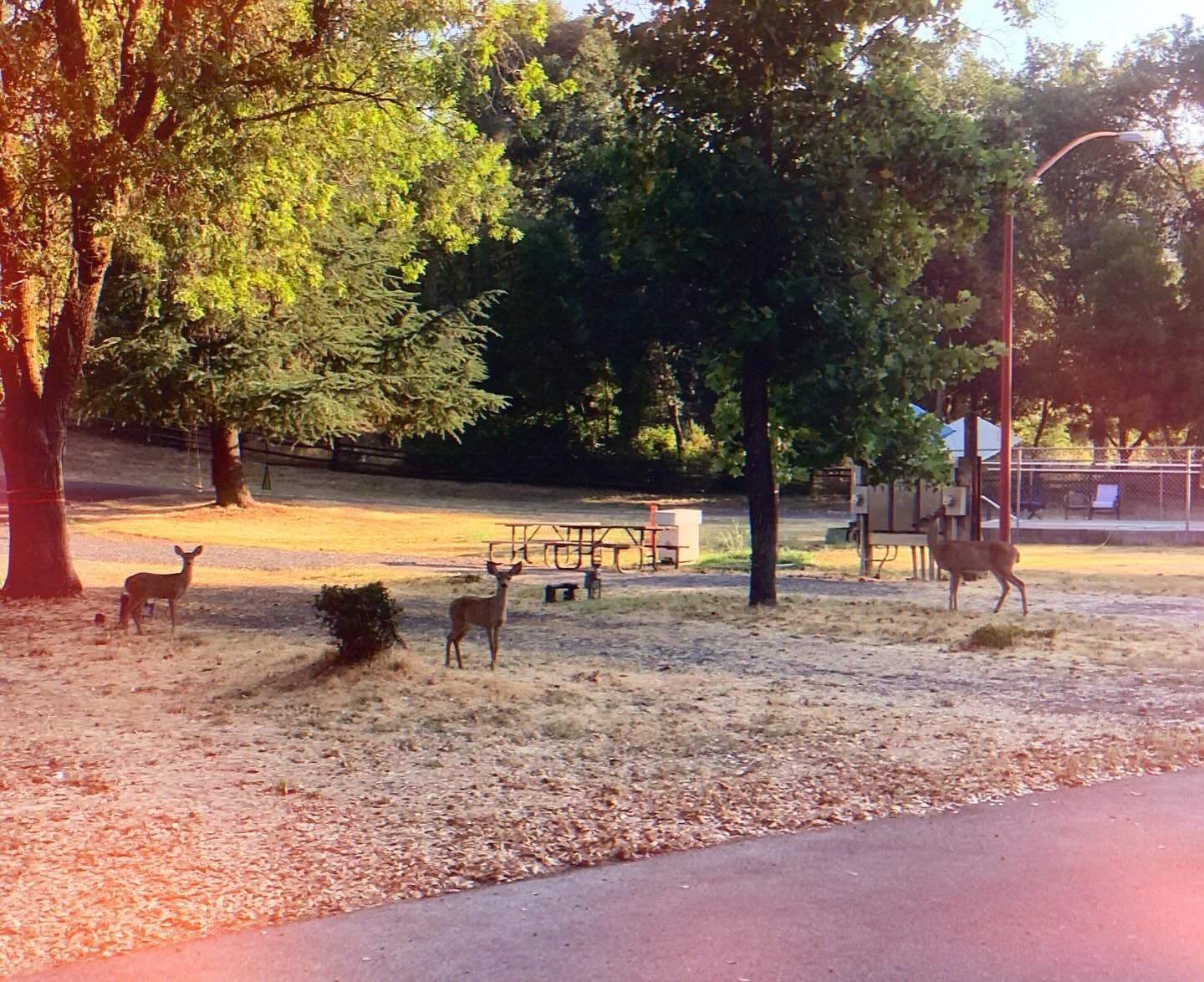 Even the locals came out to support fire safety yesterday at the Golden Rule Mobile Home Village community work party!