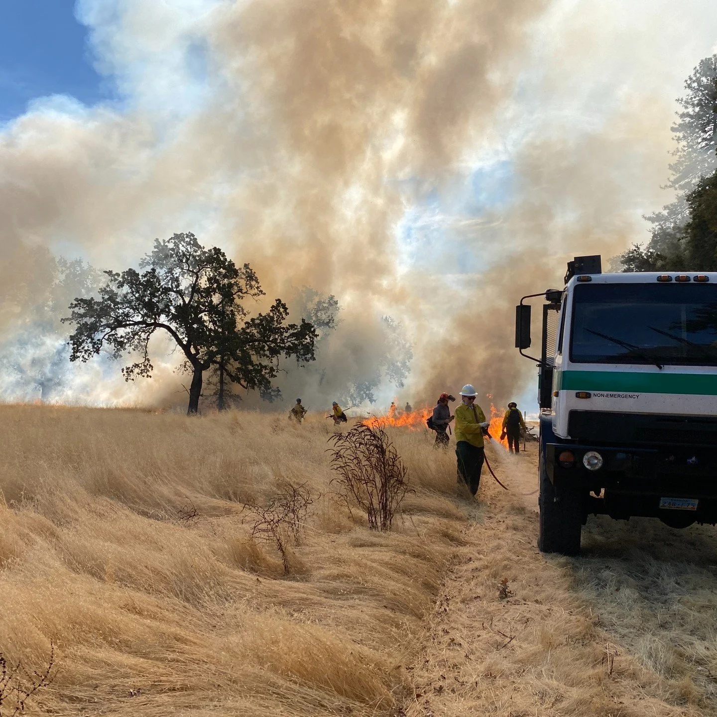 Teamwork in action! Emily Lord, GrizzlyCorps fellow with the Mendocino County Fire Safe Council, lays a wet line during the Ignome Oak Grove prescribed burn on the Middletown Rancheria Band of Pomo Indians' land. 🌿📸 Shoutout to Eliza Munger for cap