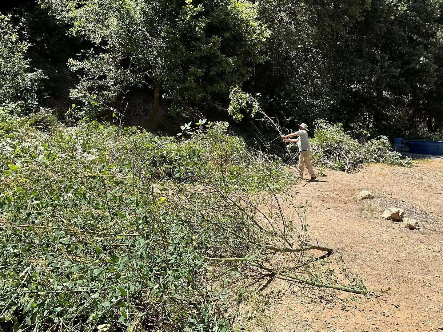 Last week volunteers and our hardworking crew teamed up for a Community Work Party—clearing brush and reducing fire fuels in shared spaces to help make Tan Oak Park and the surrounding neighborhood more fire resilient. 
We tackled a lot of bru