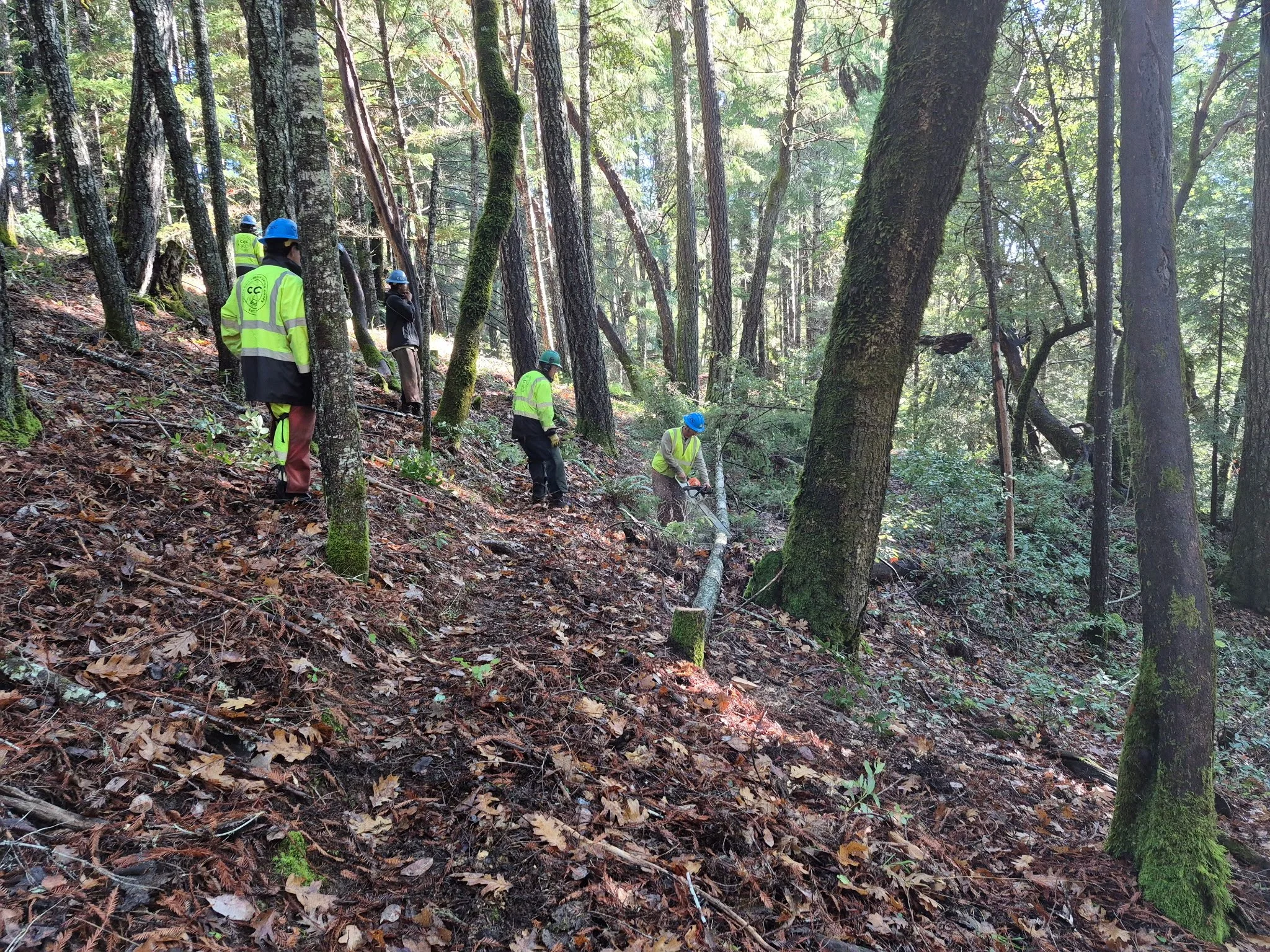 Promoting fire safety through hard work and collaboration