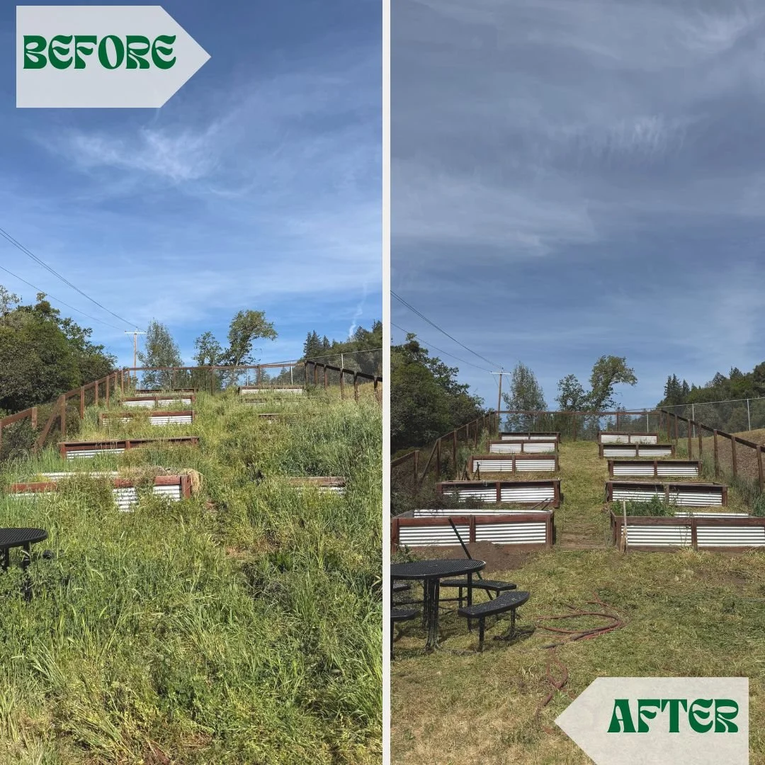Coyote Valley Before and After Community Garden (1).jpg