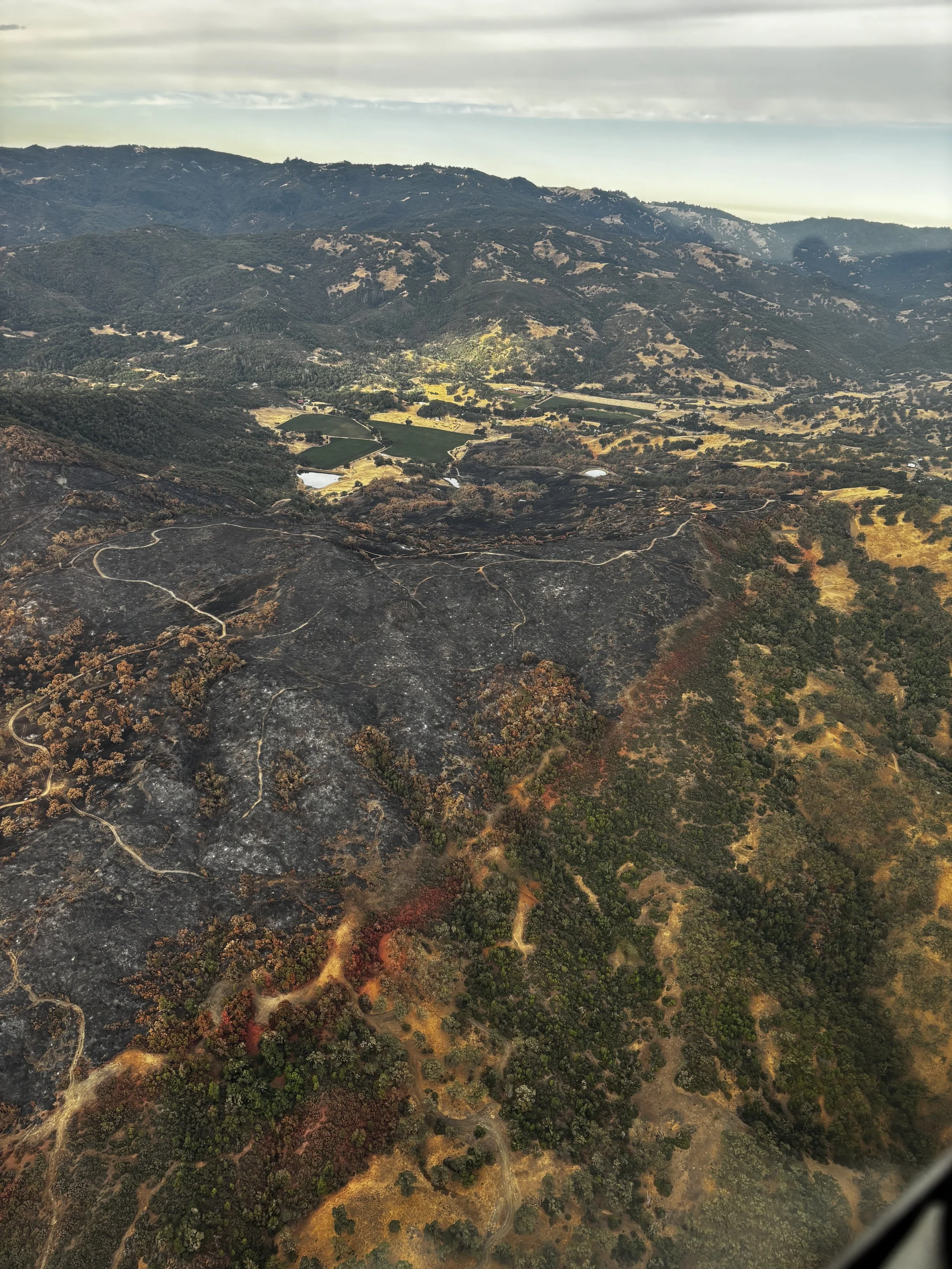 When the Feliz Fire came, Feliz Creek neighbors knew what to do