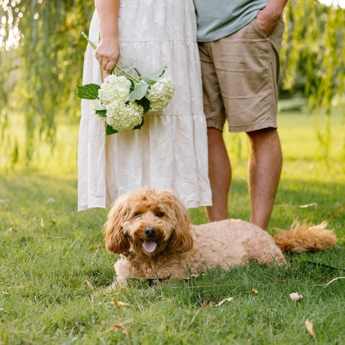 Weekend vibes are here! ✨ It&rsquo;s been a while since Moose made an appearance on here, so he&rsquo;s joining the weekend fun too 💛

Wishing everyone a weekend filled with joy, laughter, and a little time to unwind. What are your plans?

#WeekendV