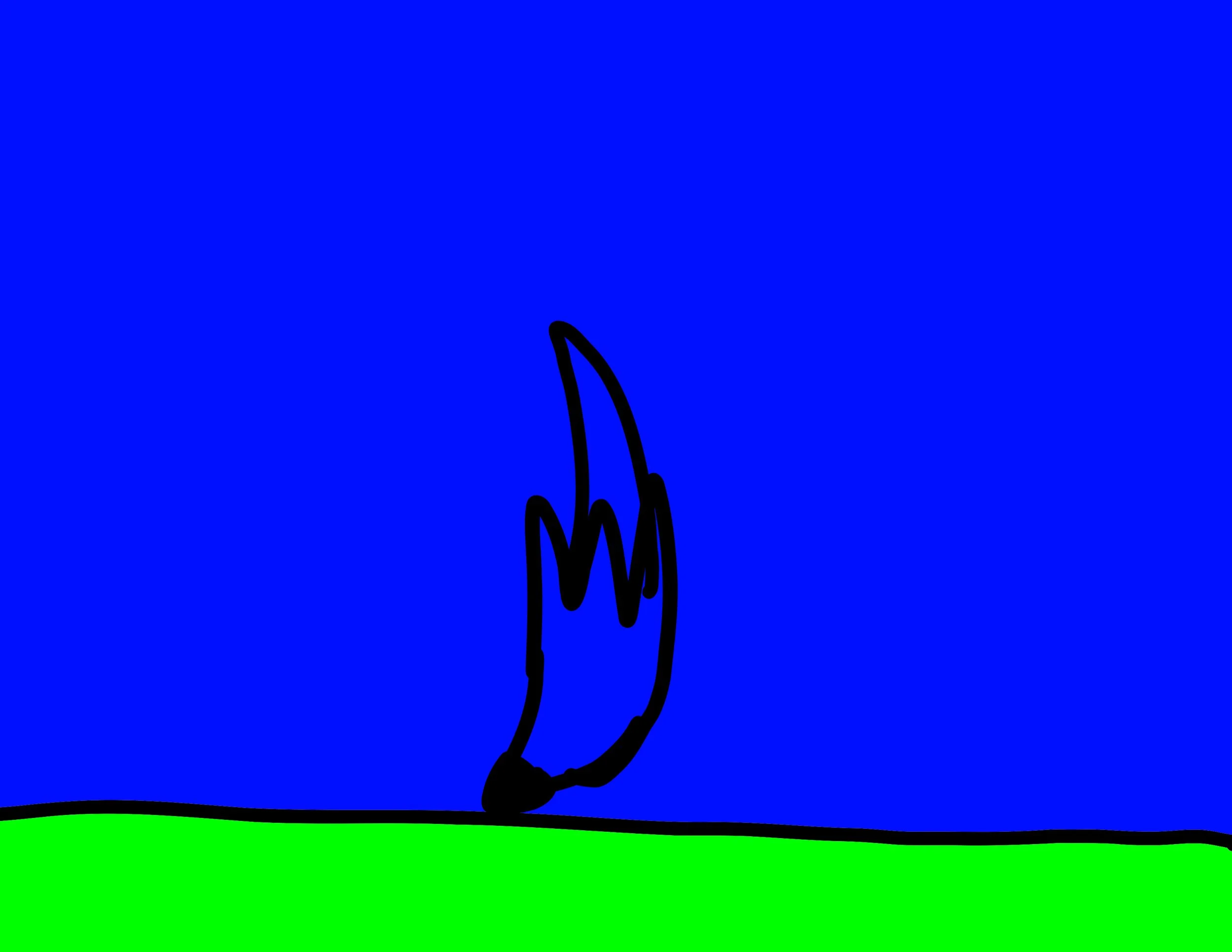 Untitled - January 31, 2025 15.31.jpg