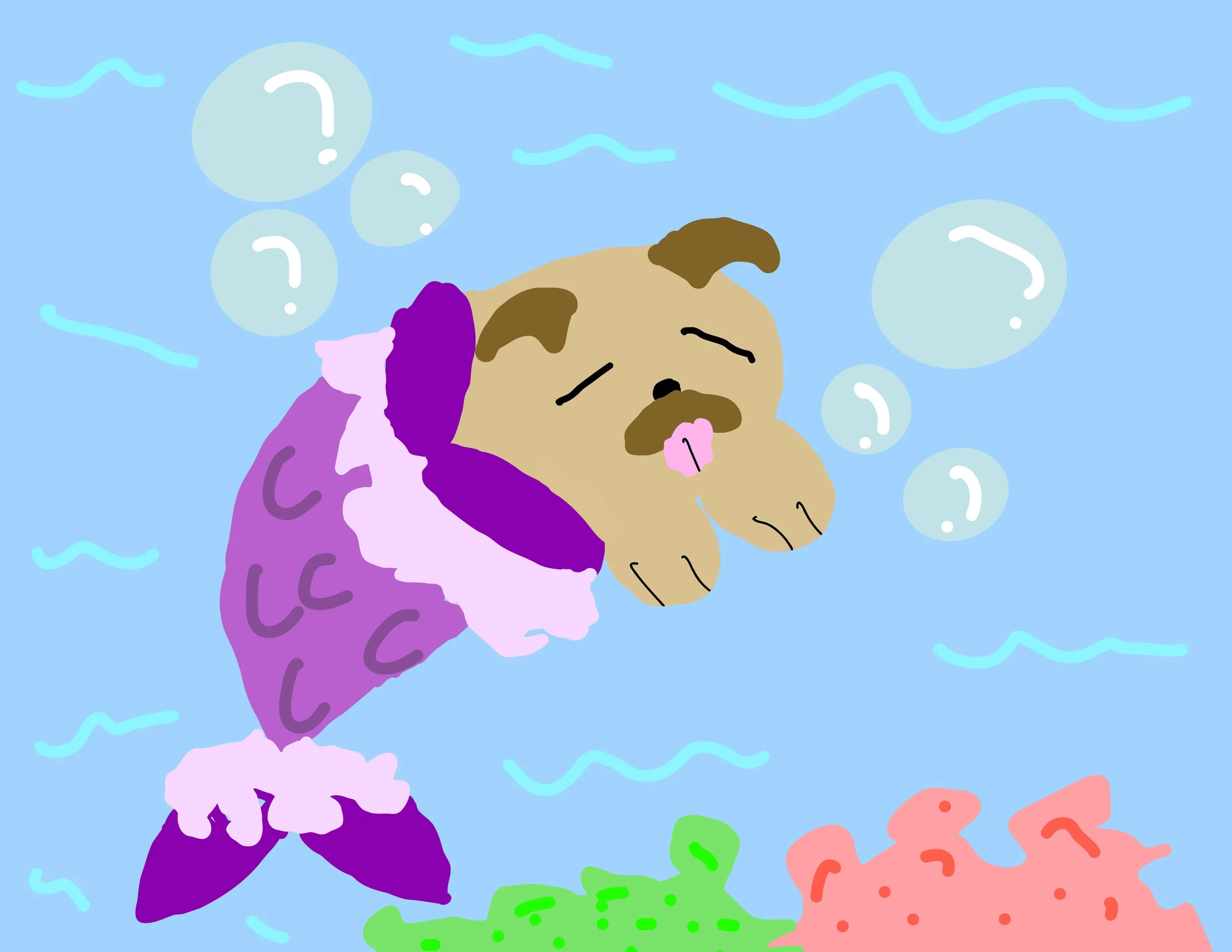 Untitled - January 31, 2025 13.29.jpg