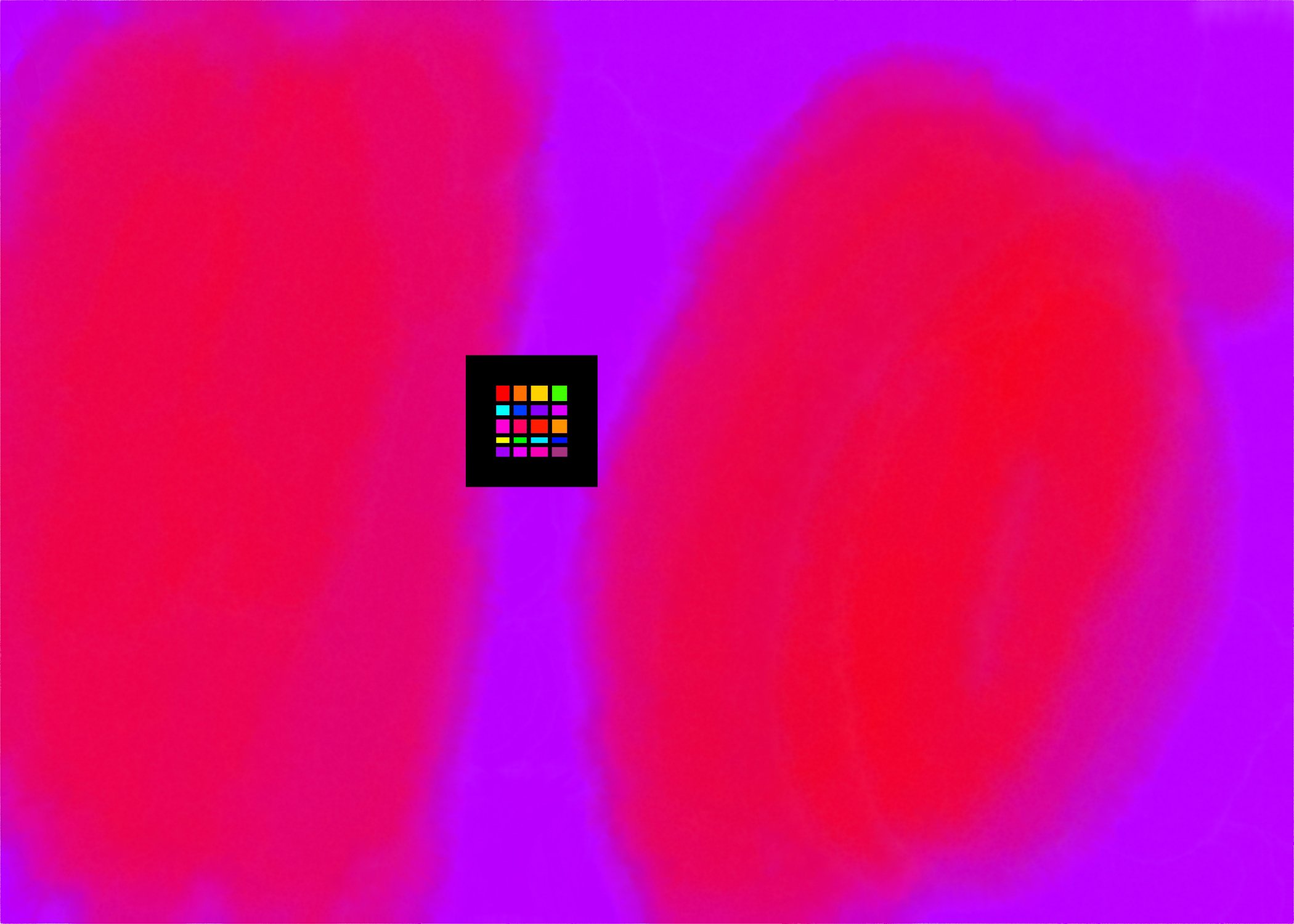 Untitled - February 20, 2025 14.09.jpg