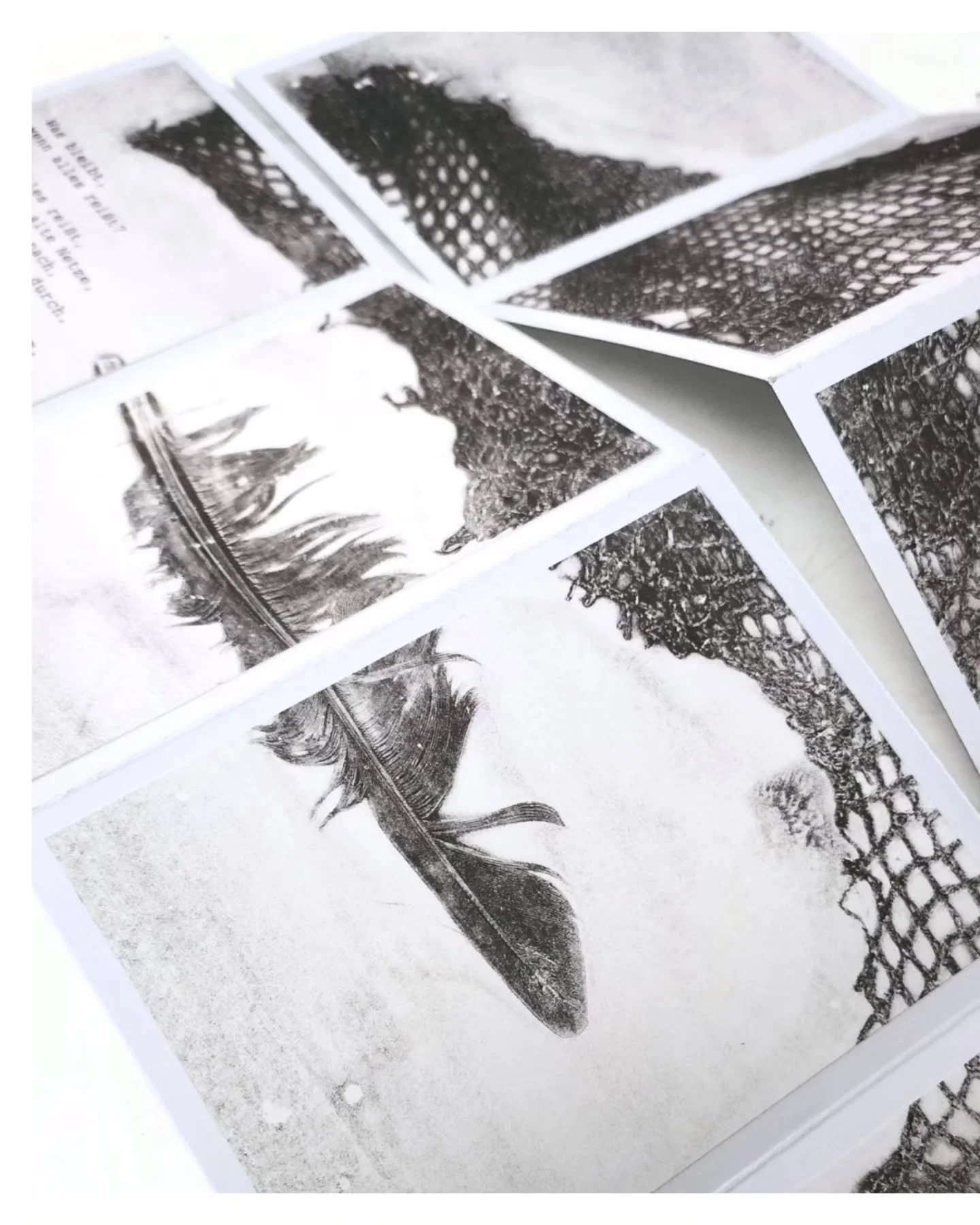 Gelatinedruck &middot; Faltbuch.

Aus einem Bild gefaltet &ndash; Feder, Netz und Zwischenr&auml;ume in Buchform.

Was bleibt, wenn alles rei&szlig;t?

#gelatinedruck #artistbook #samatvaatelier #artprocess #monoprint #printmaking #blackandwhiteart #