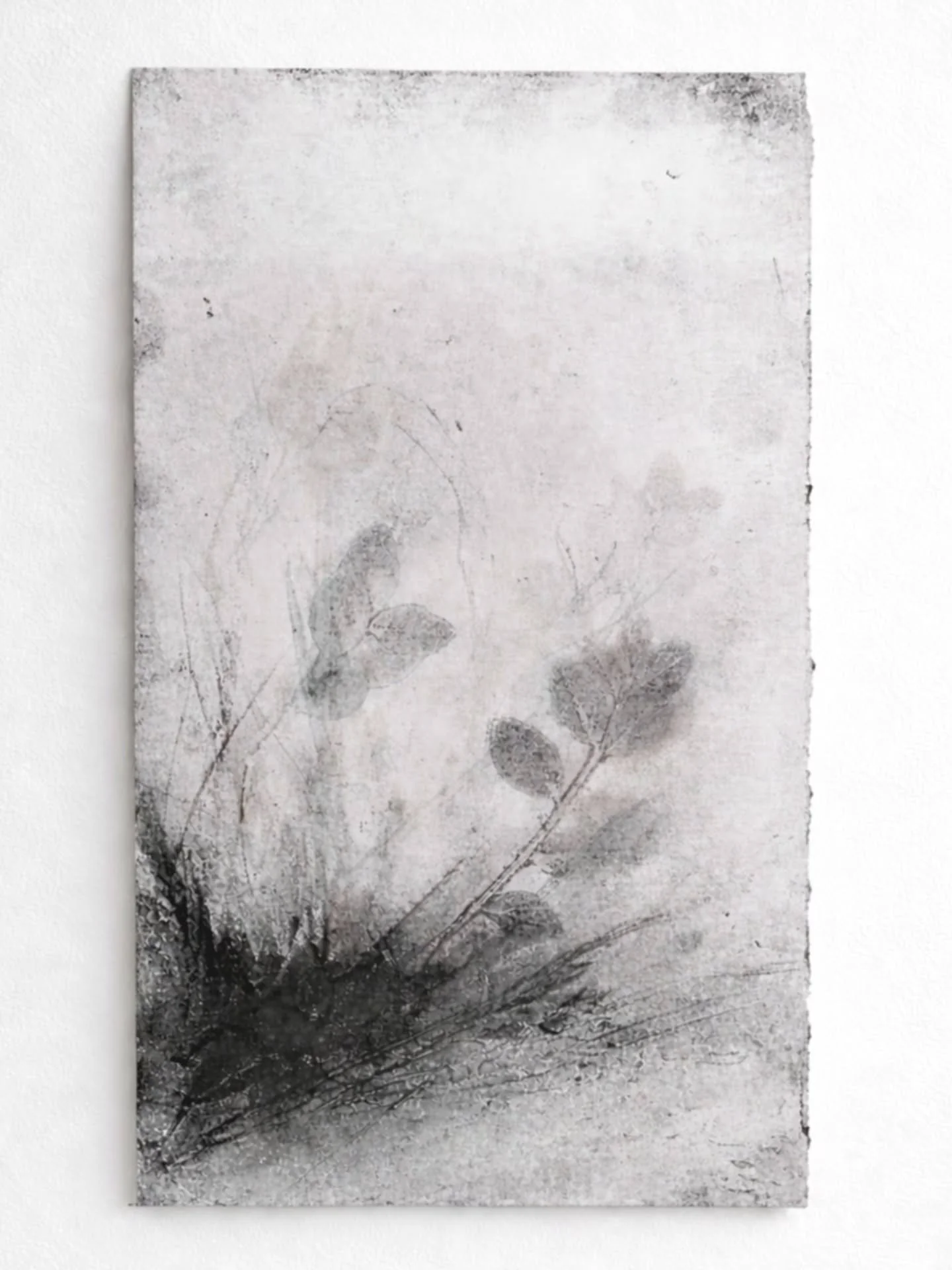 S T U D I E .

#samatvaatelier 
#quietgrowth
#blackandwhite 
#studiowork 
#worksonpaper